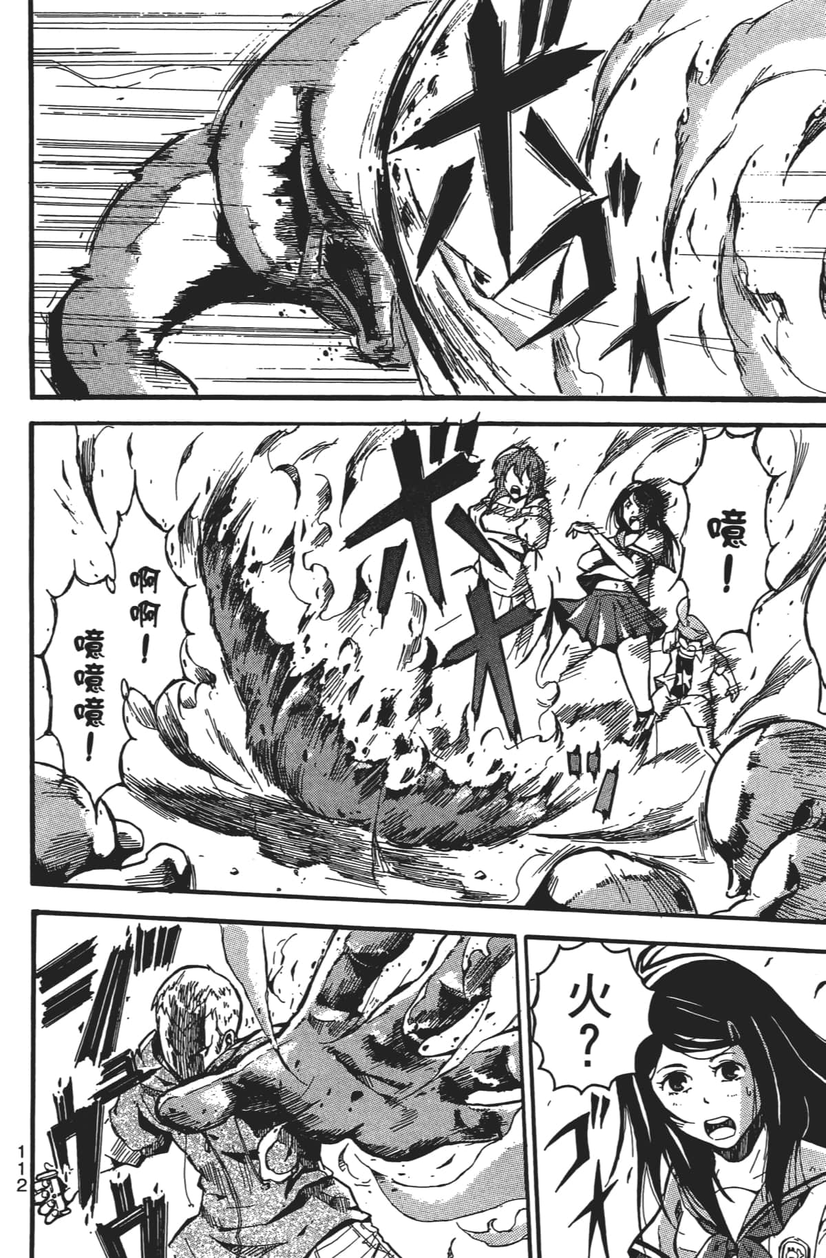 Page 113