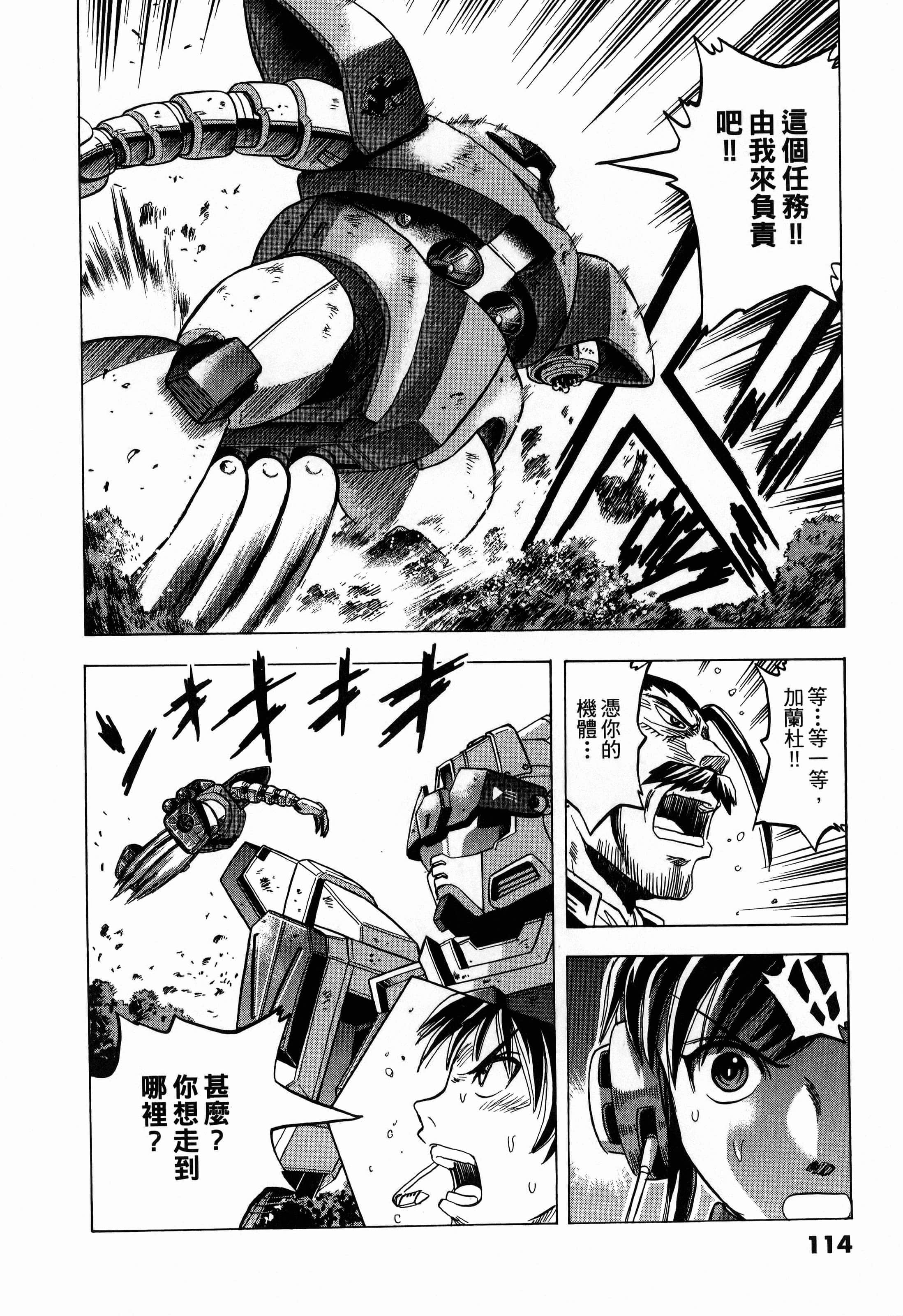 Page 116