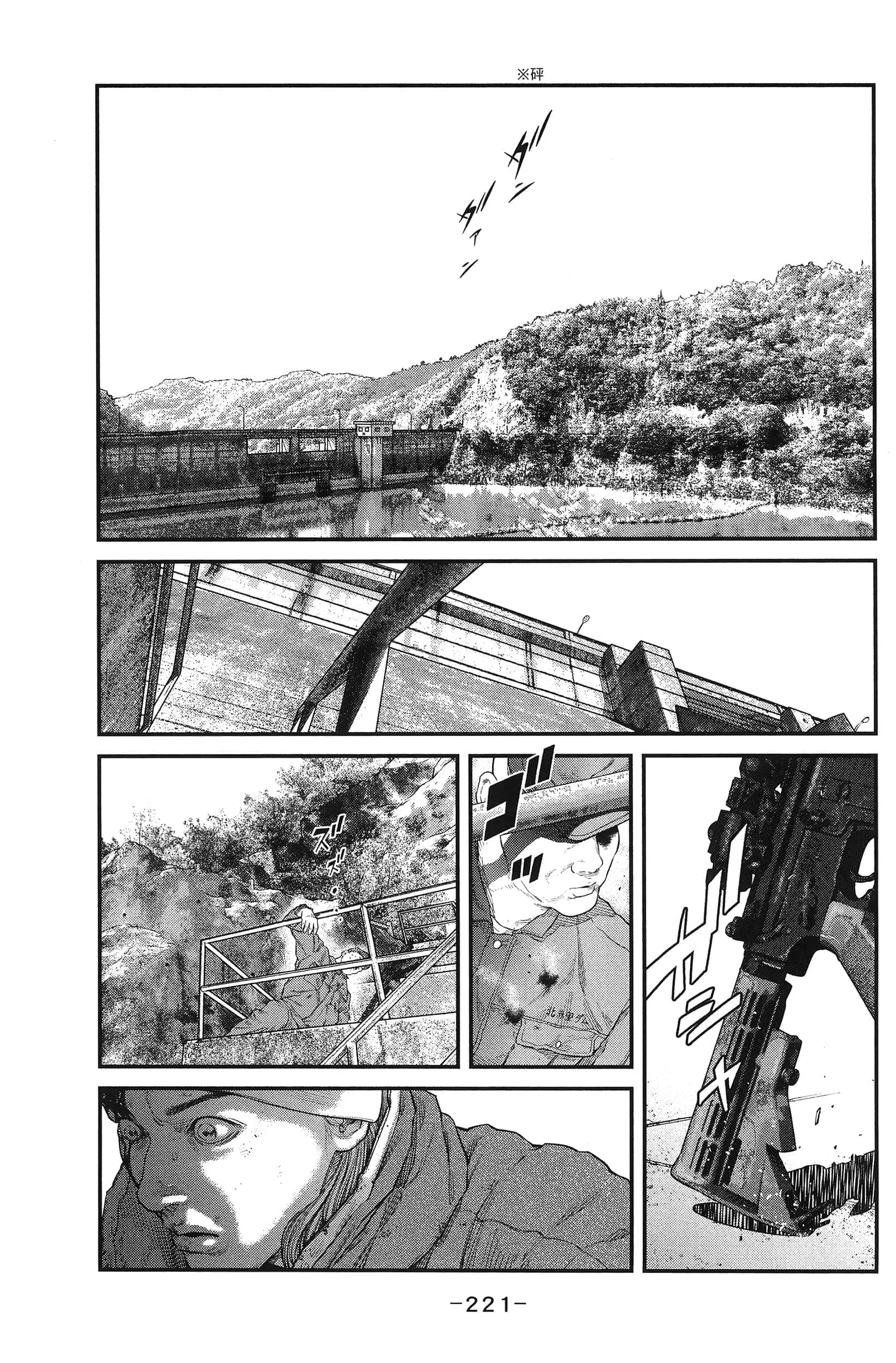 Page 223