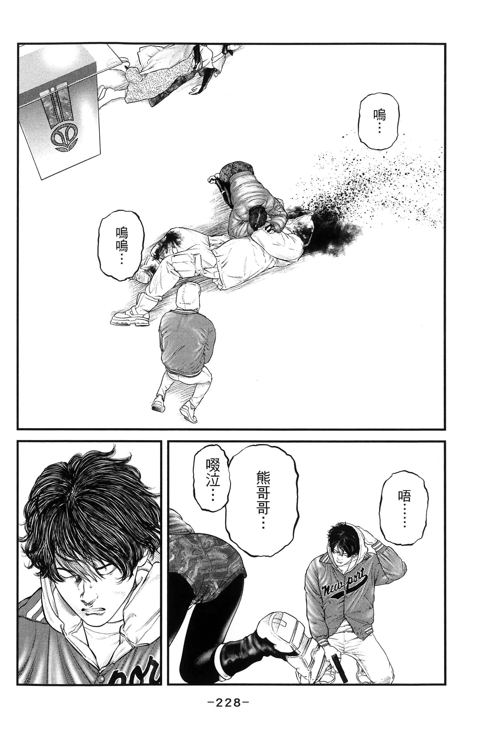 Page 231