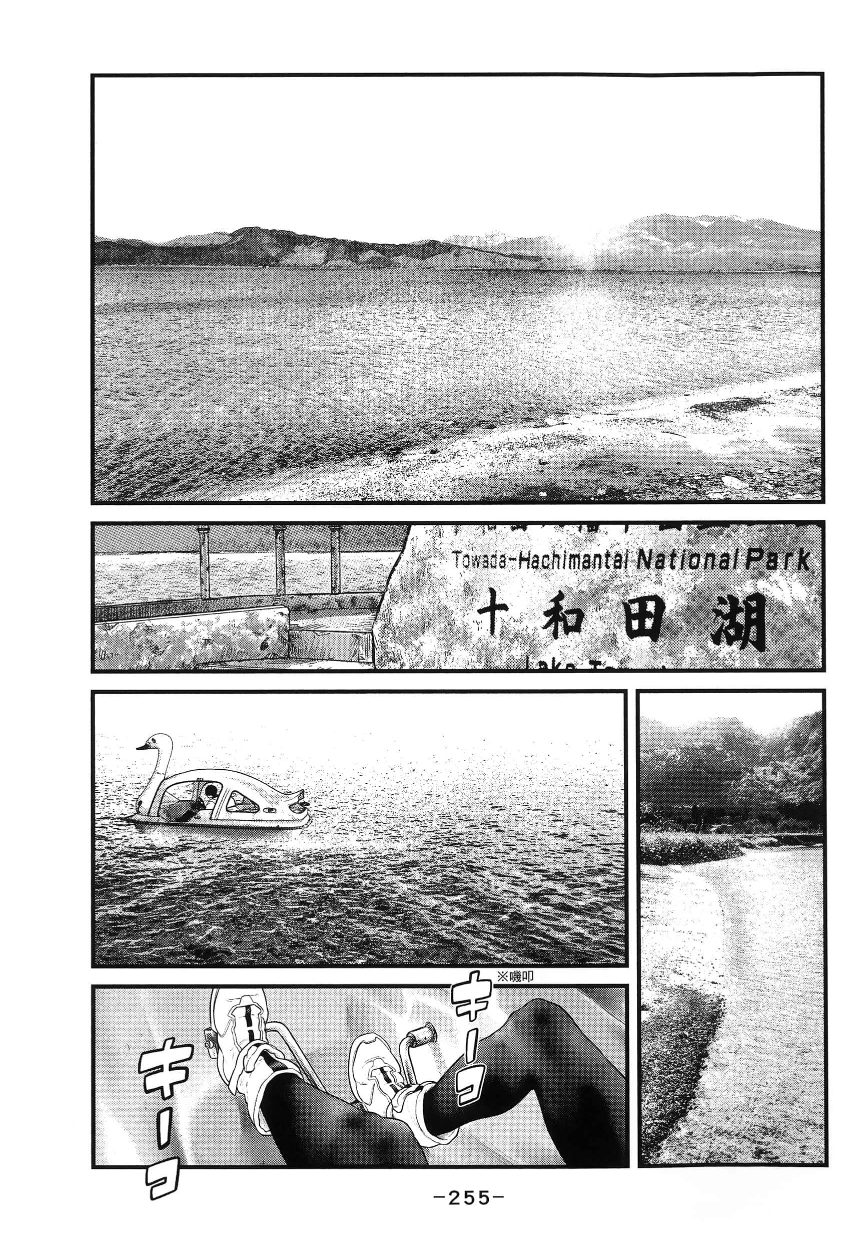 Page 258