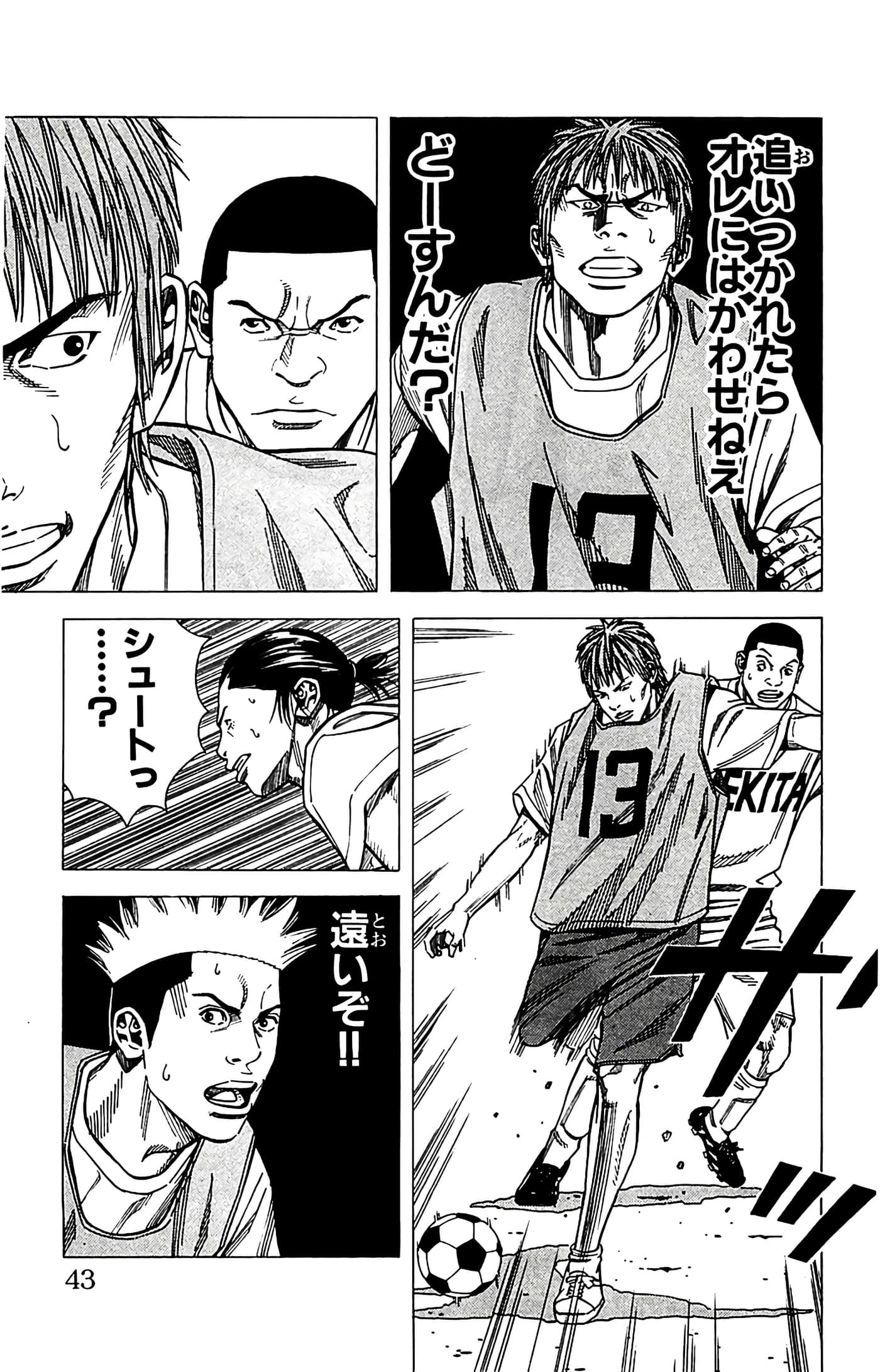 第 43 页