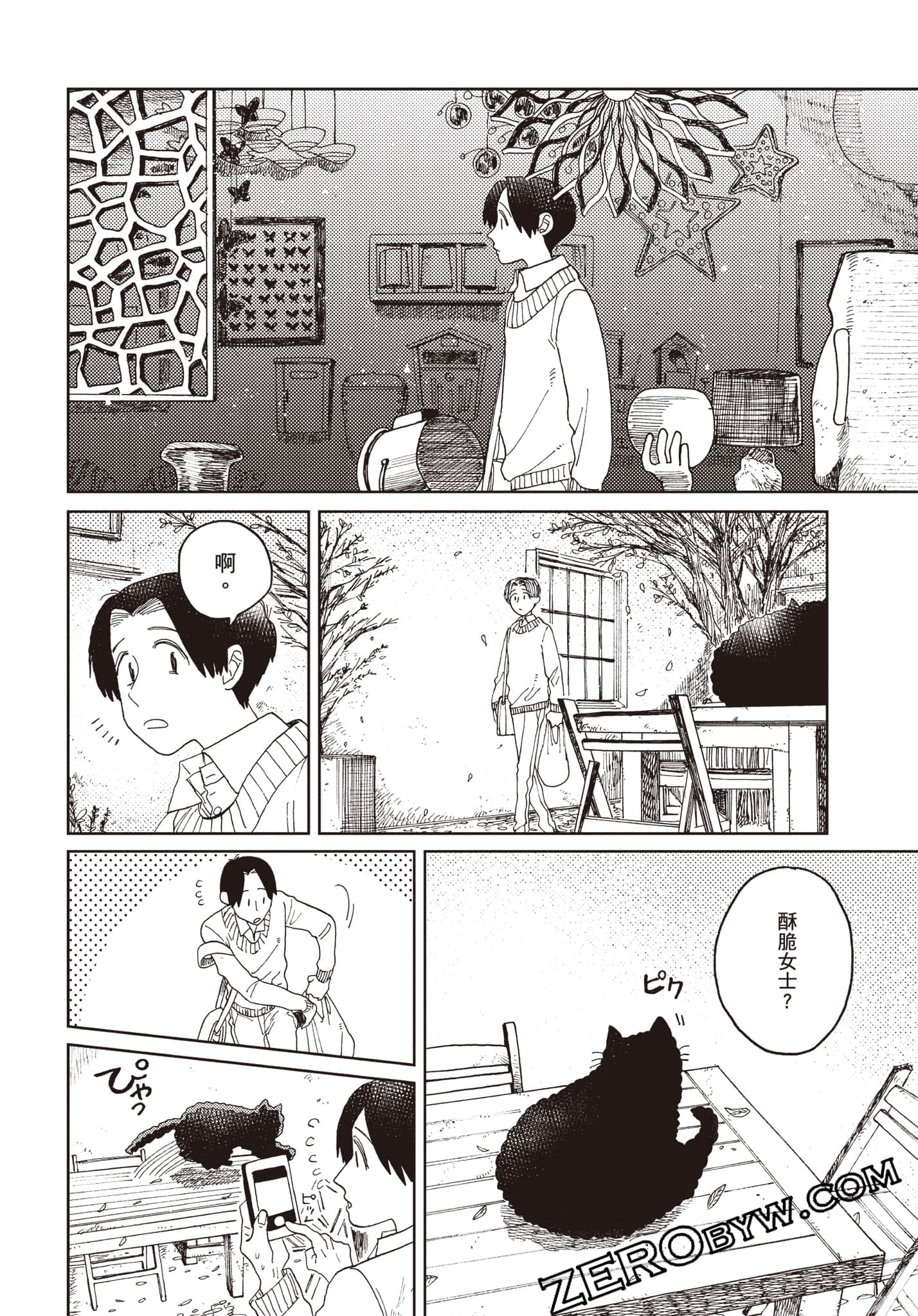 Page 101