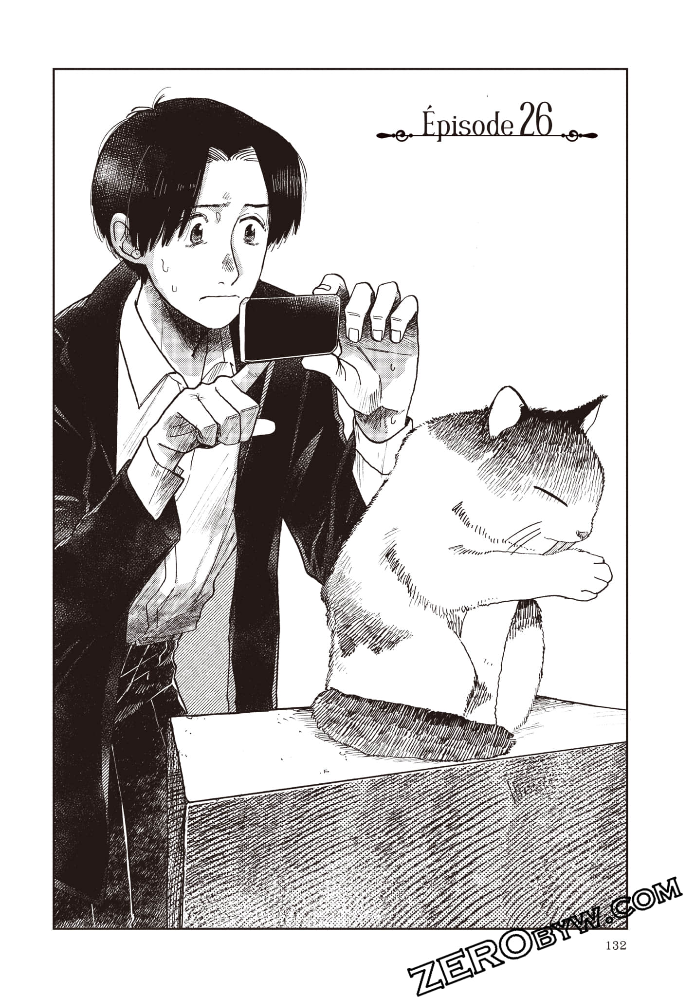 Page 133