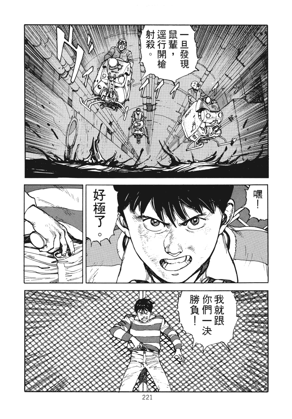 Page 223
