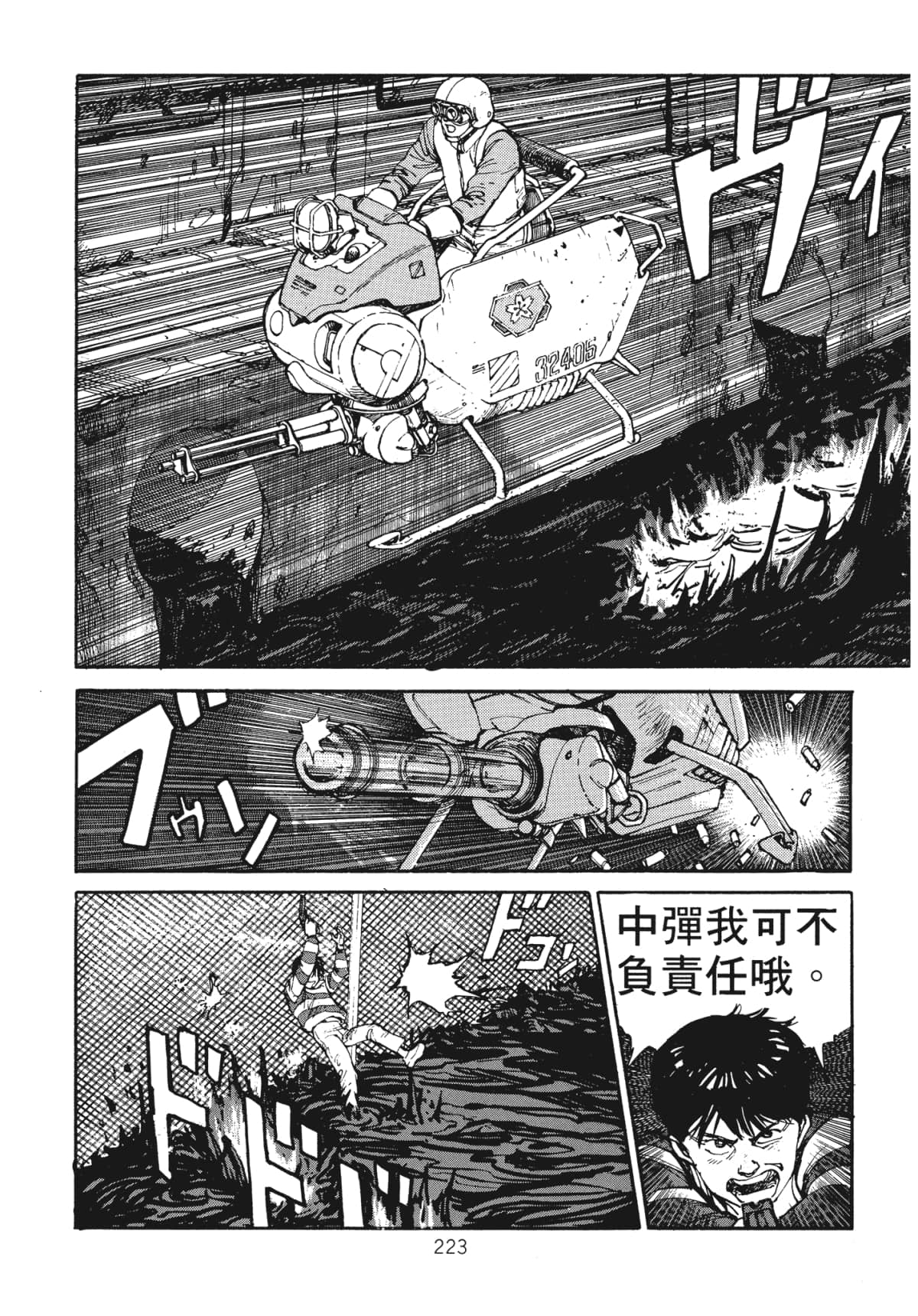 Page 225