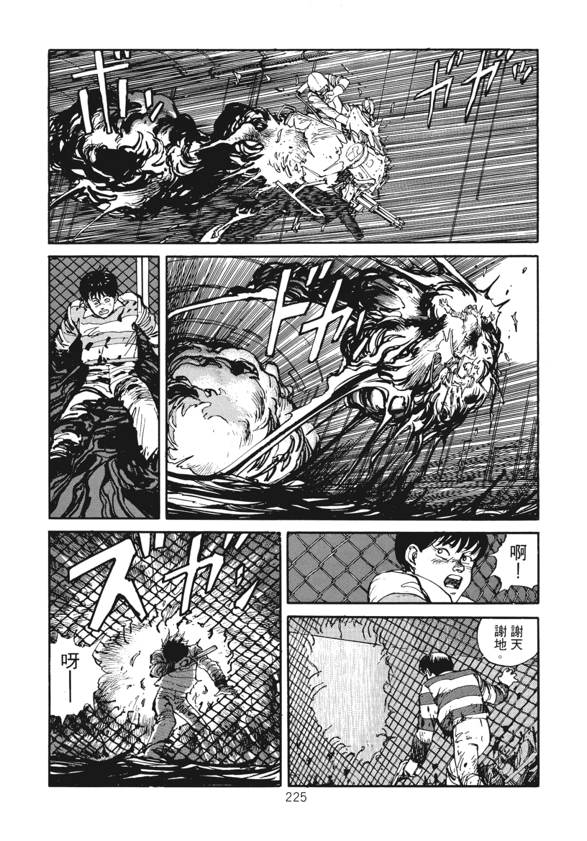 Page 227