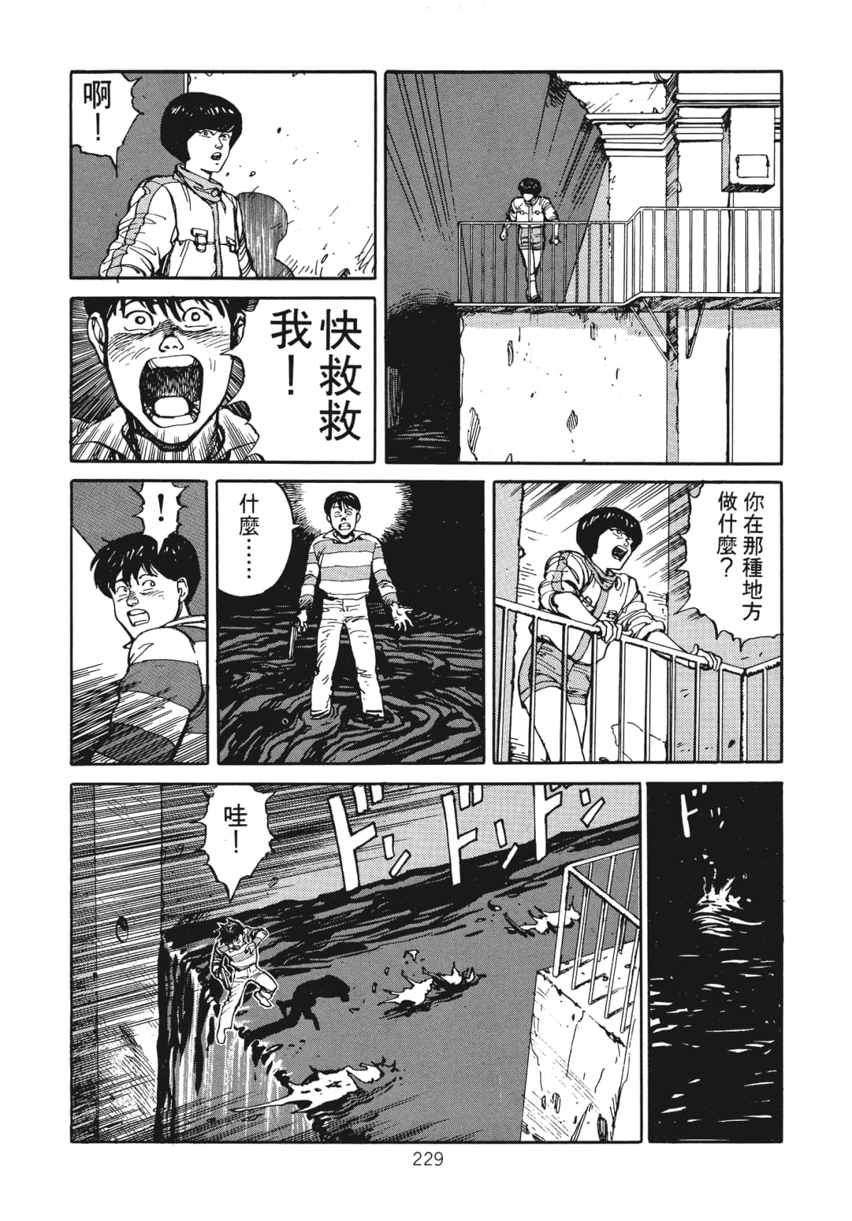 Page 231