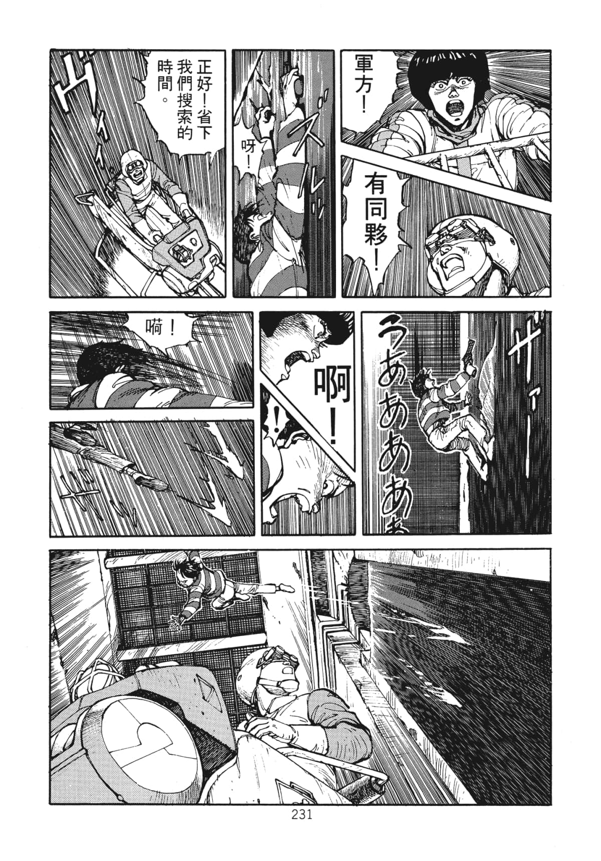 Page 233