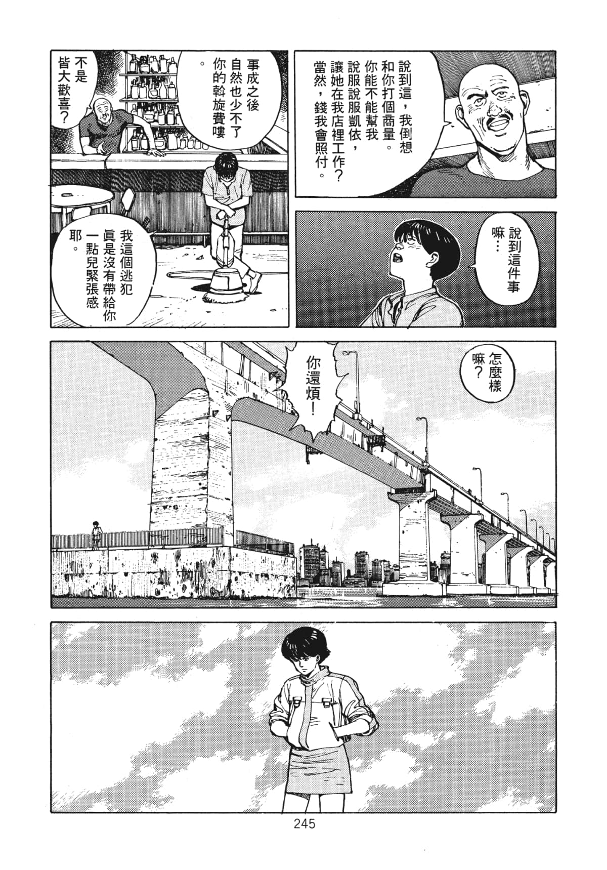 Page 247