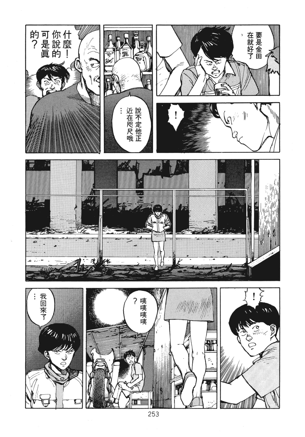 Page 255