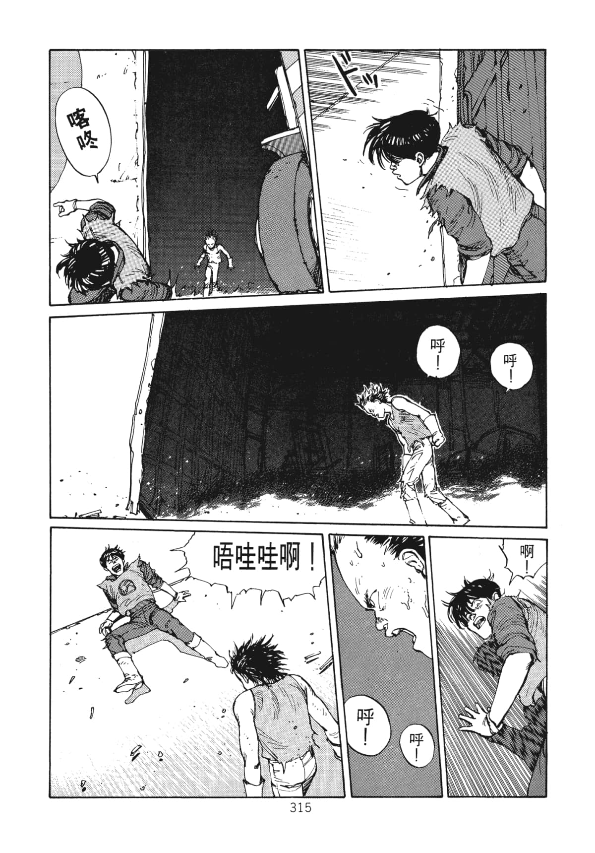 Page 317