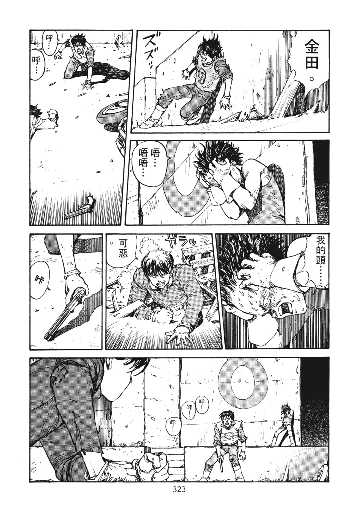 Page 325