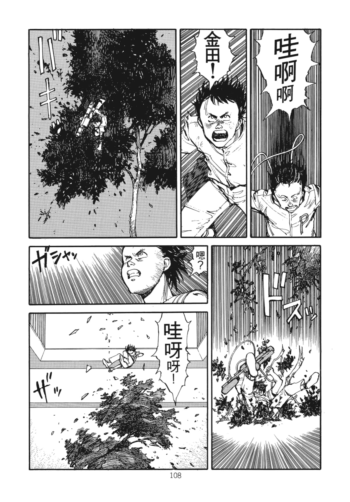 Page 110