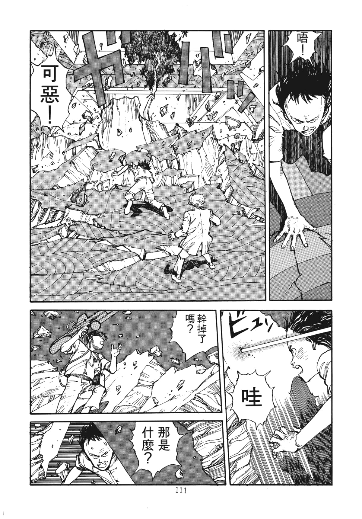 Page 113