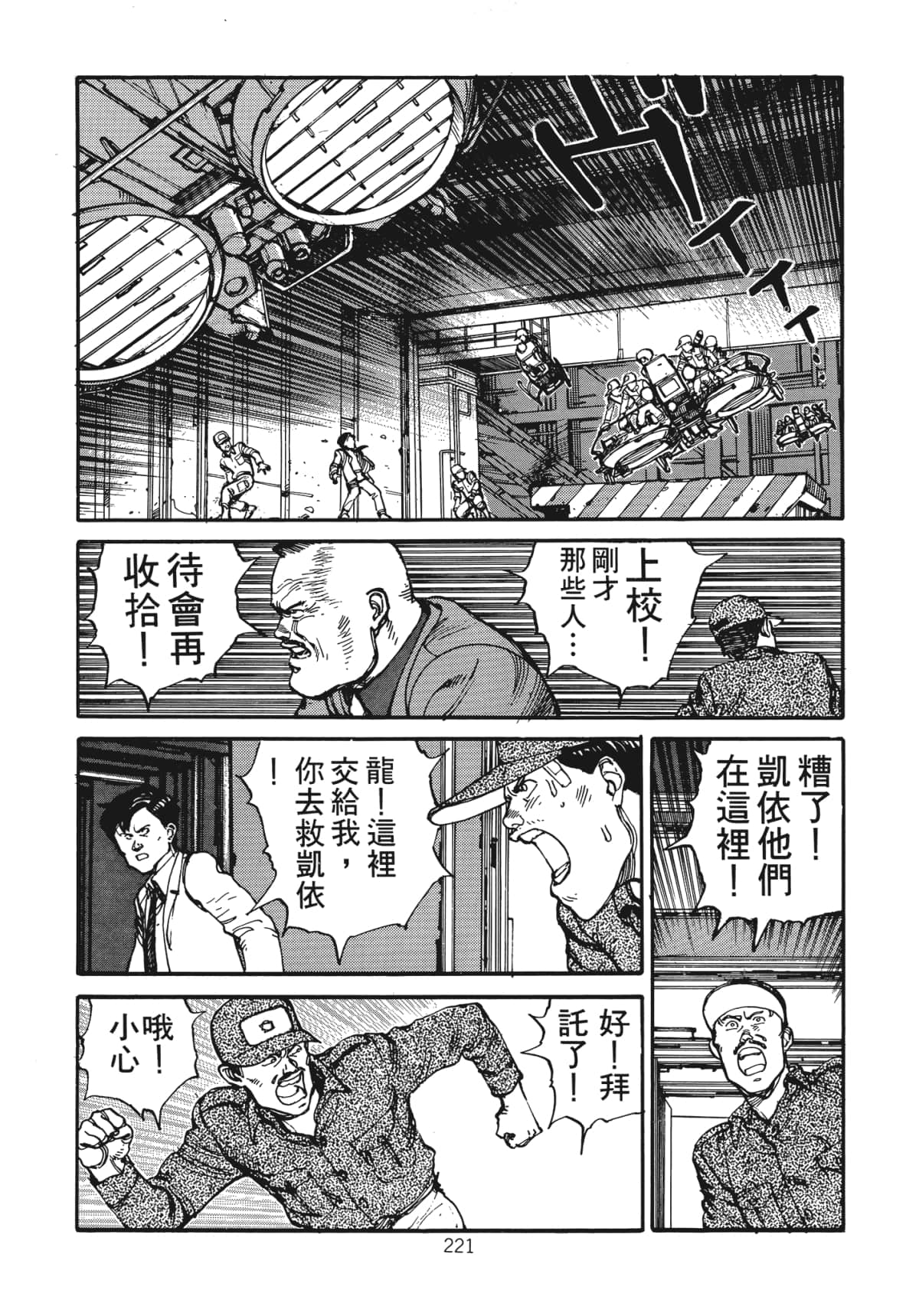 Page 223