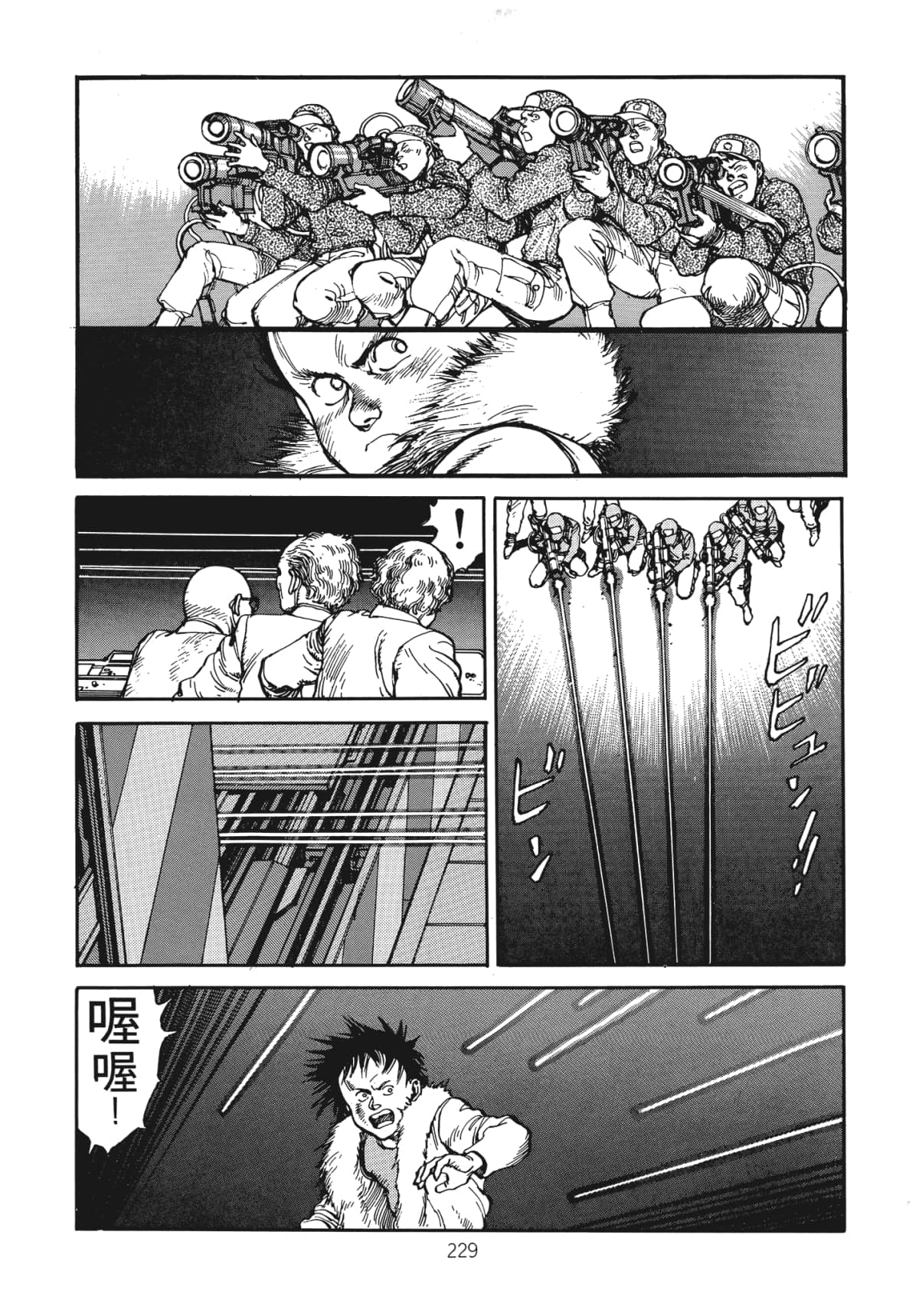 Page 231