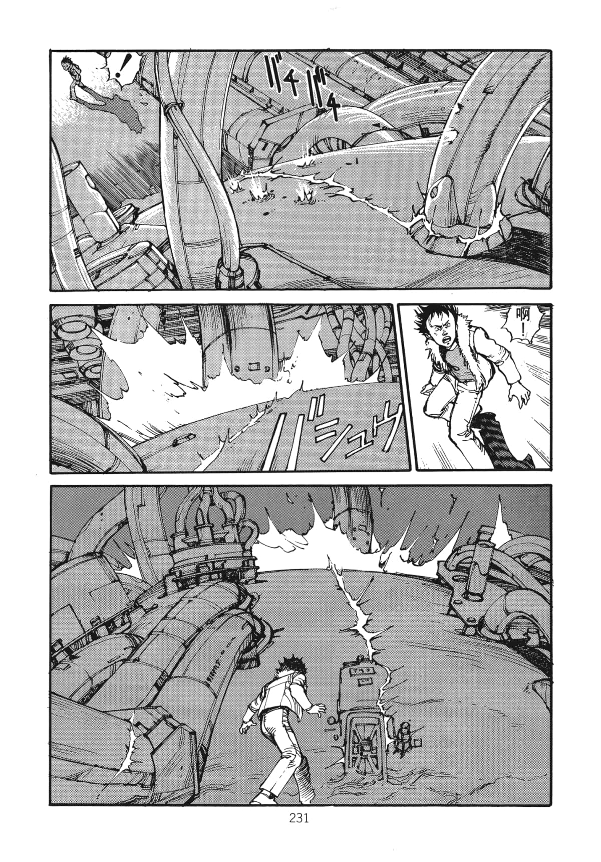Page 233
