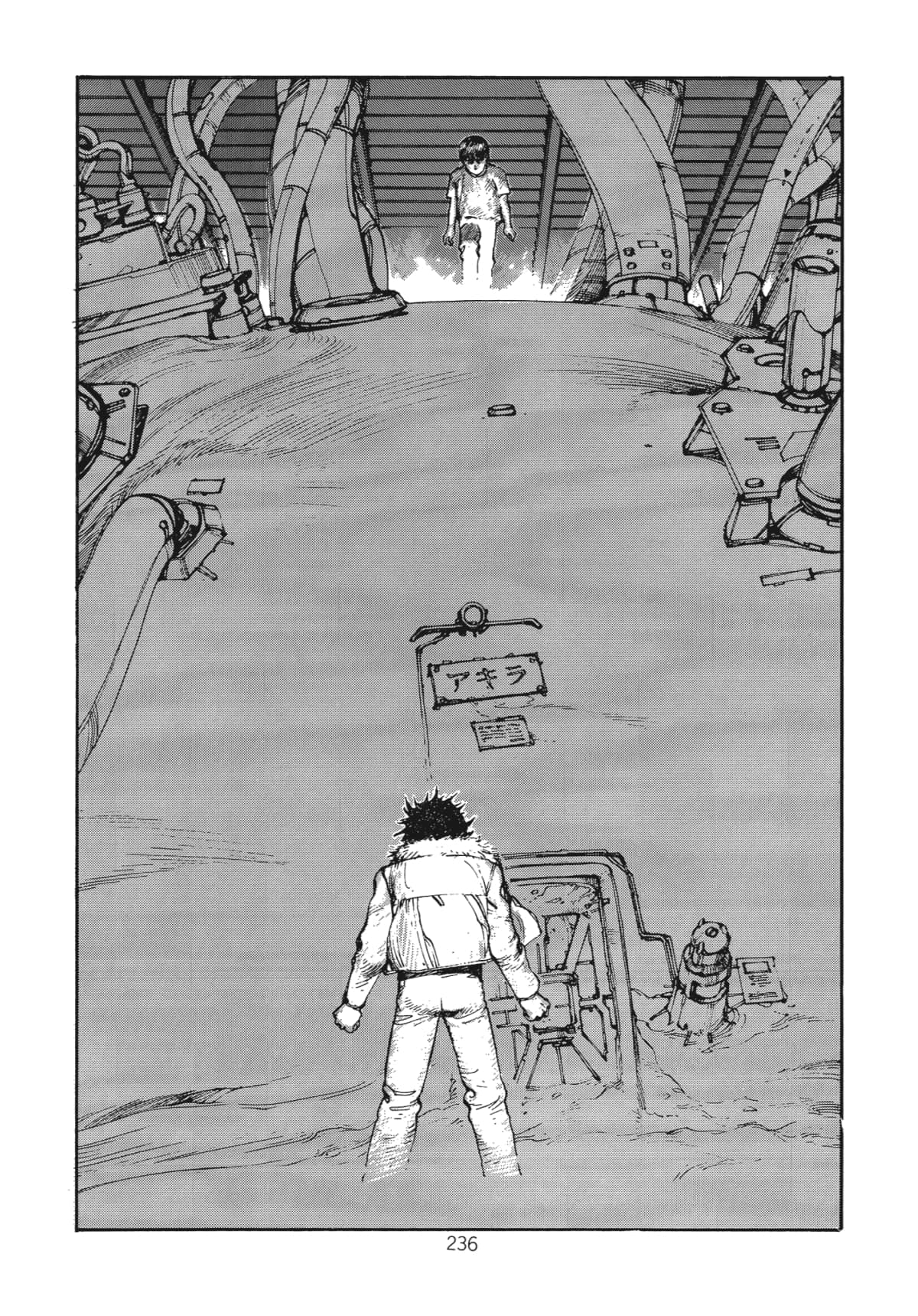 Page 238