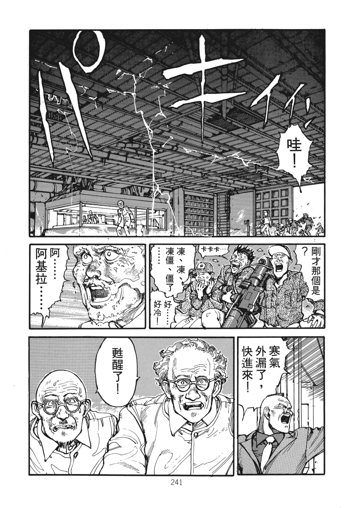 Page 243