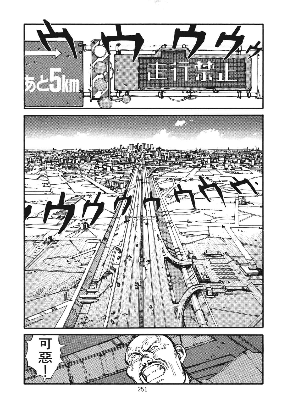 Page 253