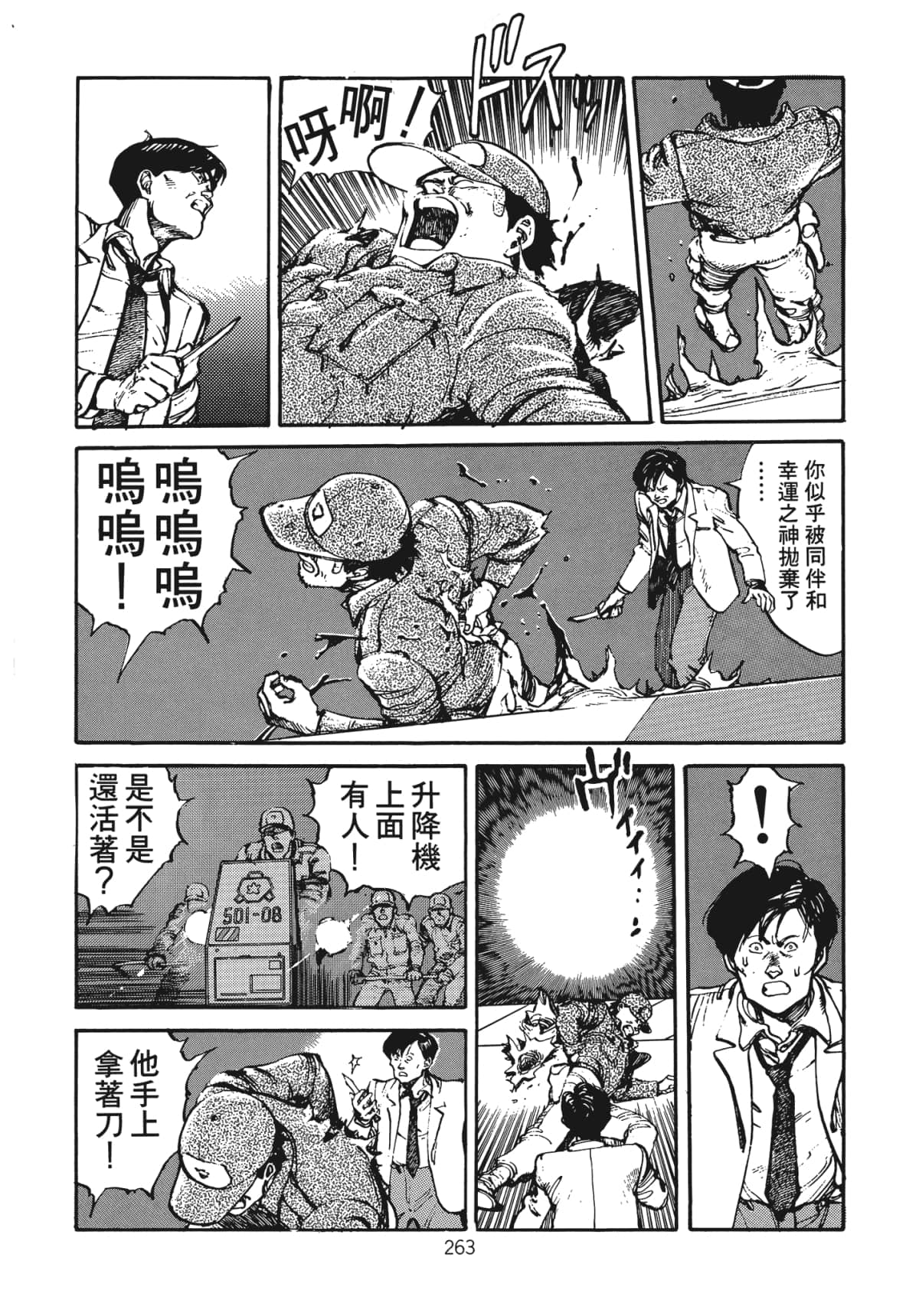 Page 265