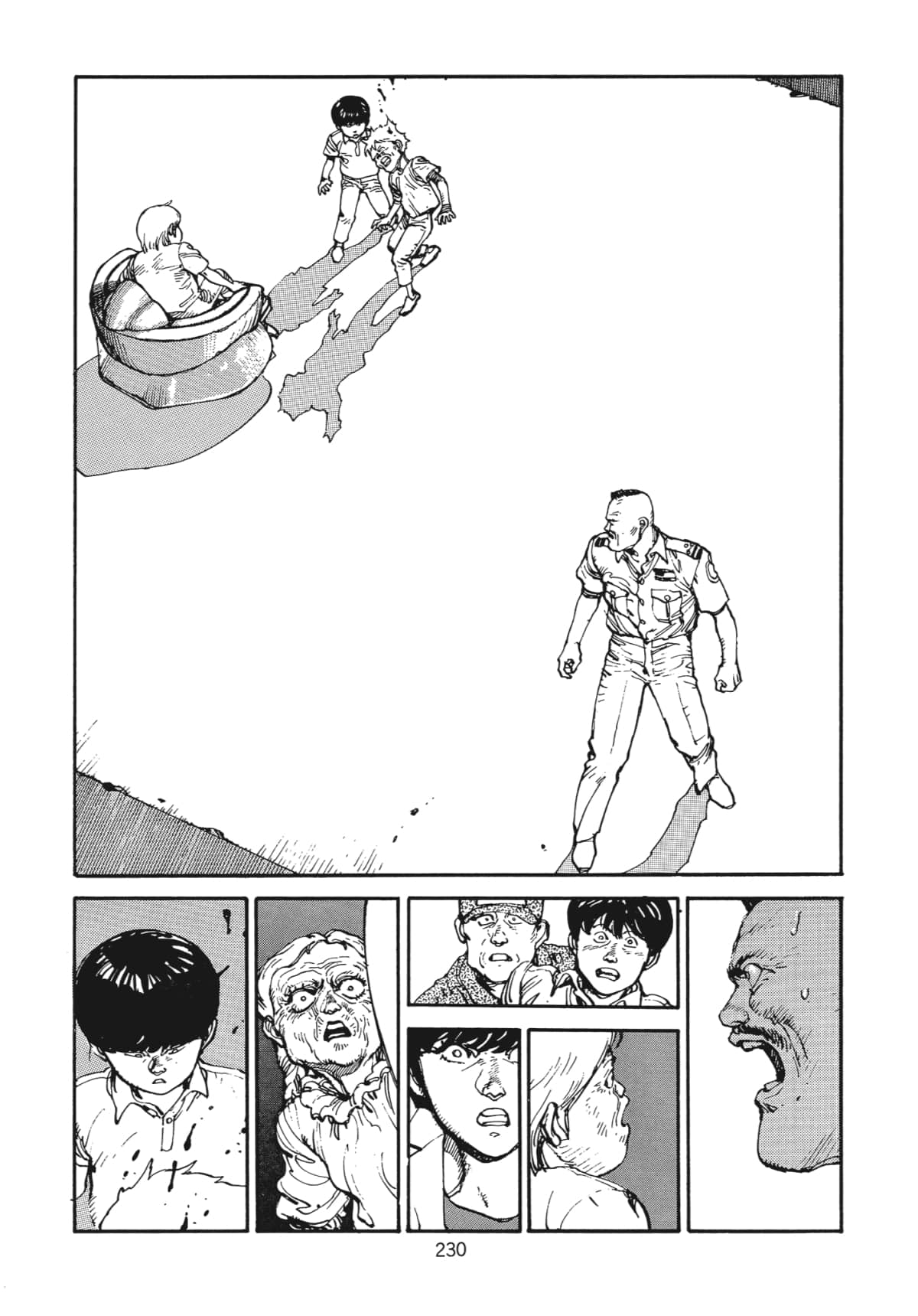 Page 231