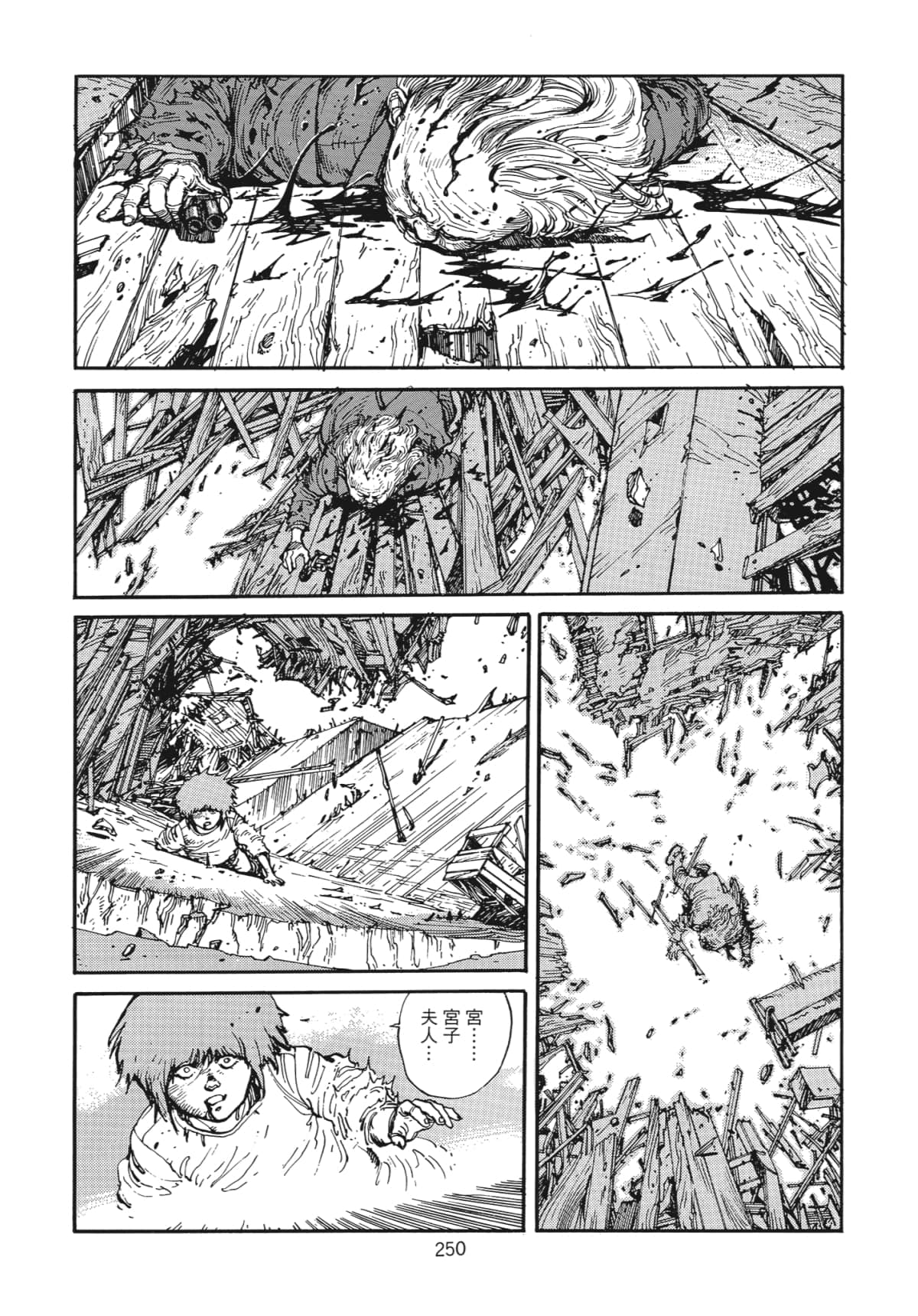 Page 251