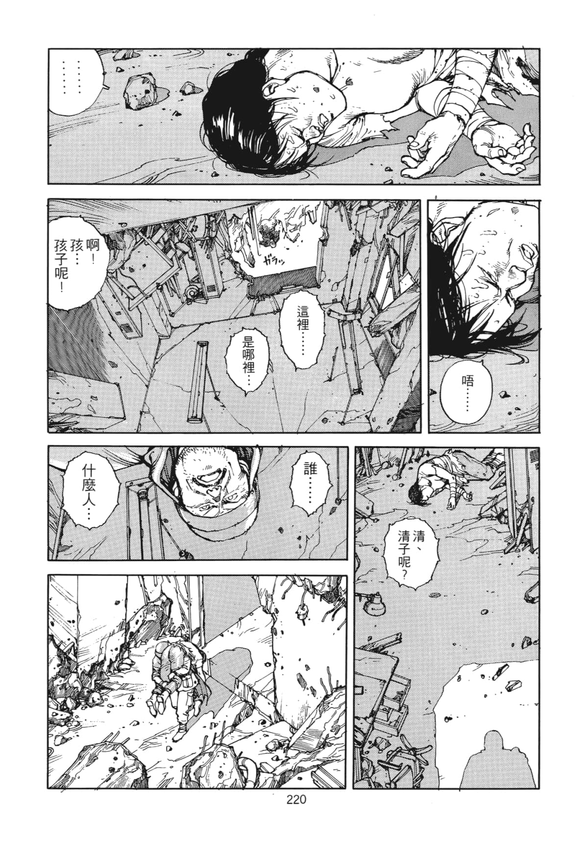 Page 223