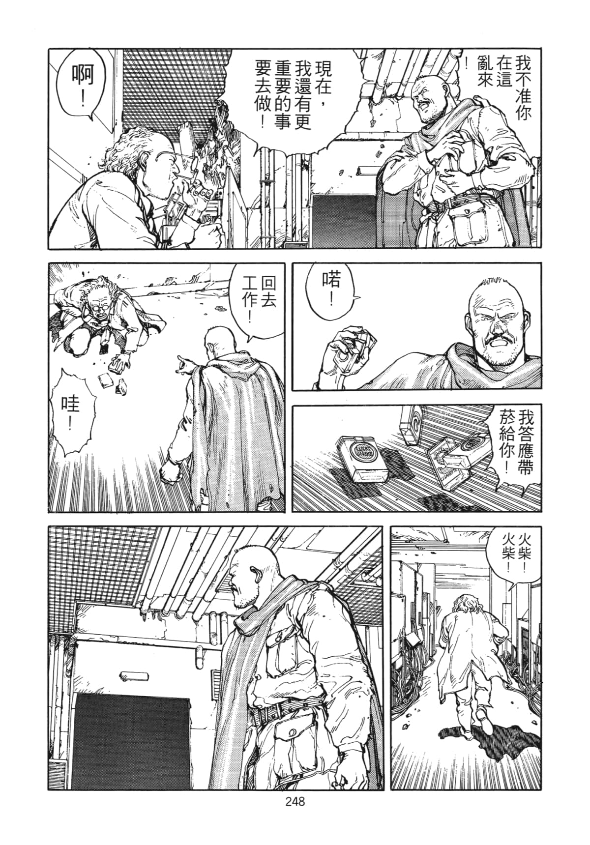 Page 251