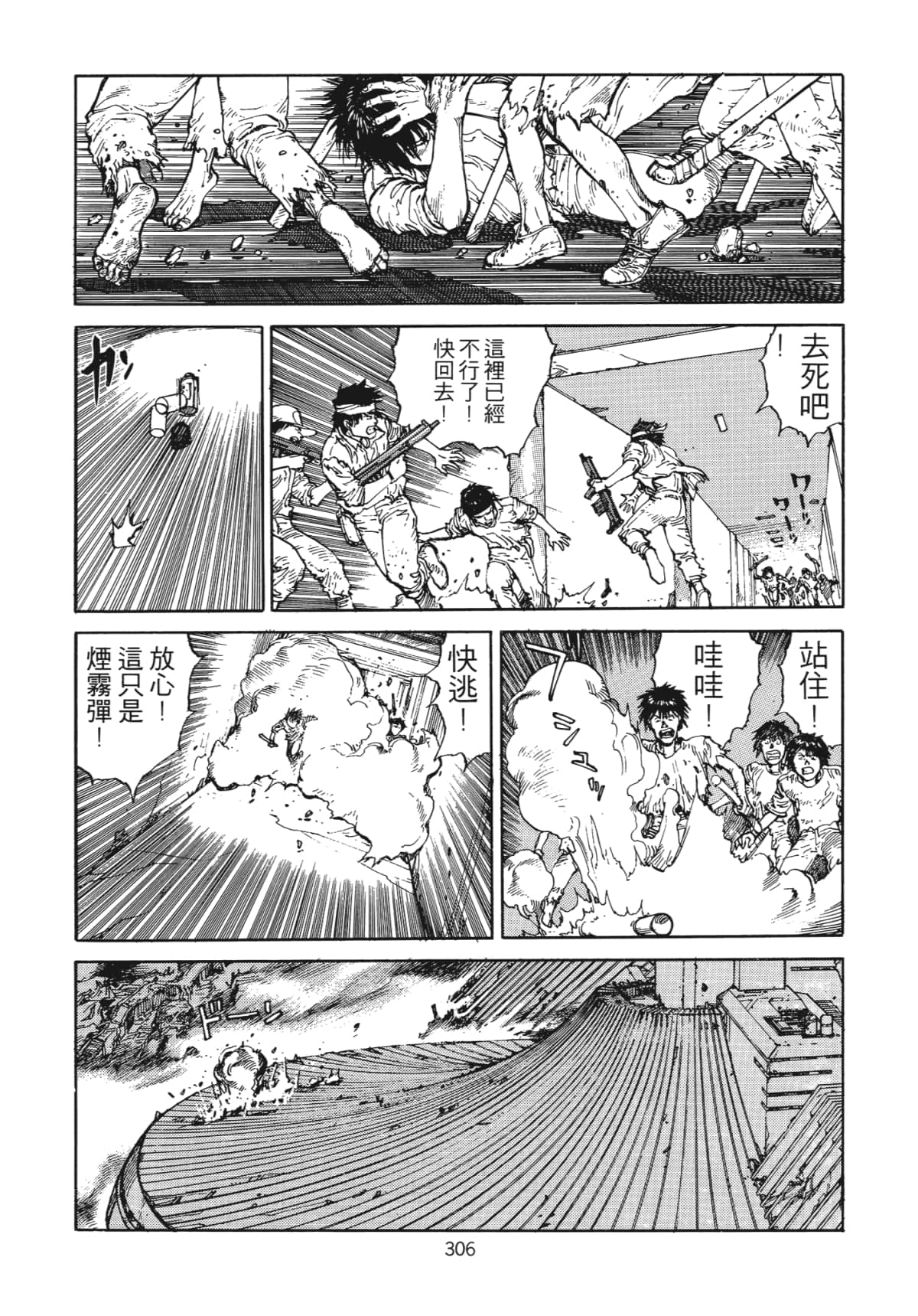 Page 309