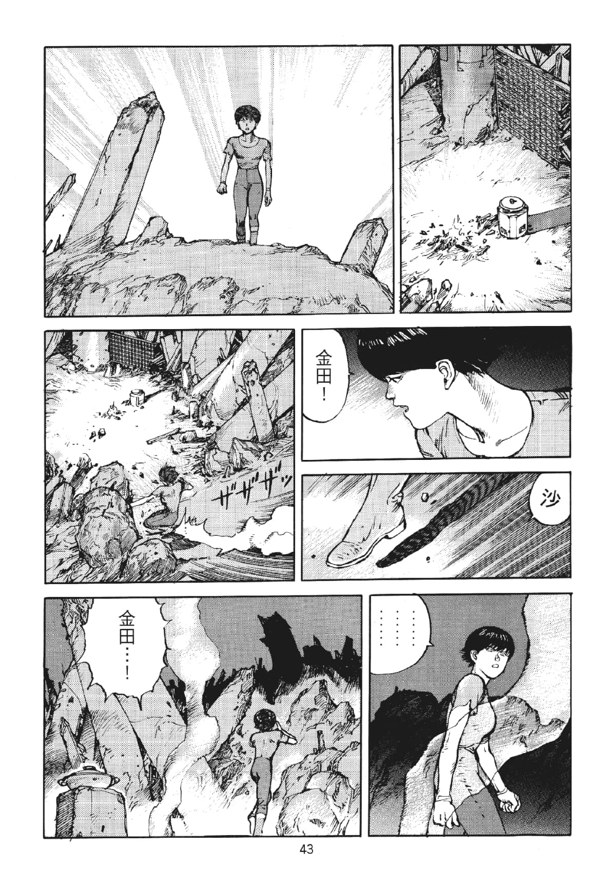 Page 43