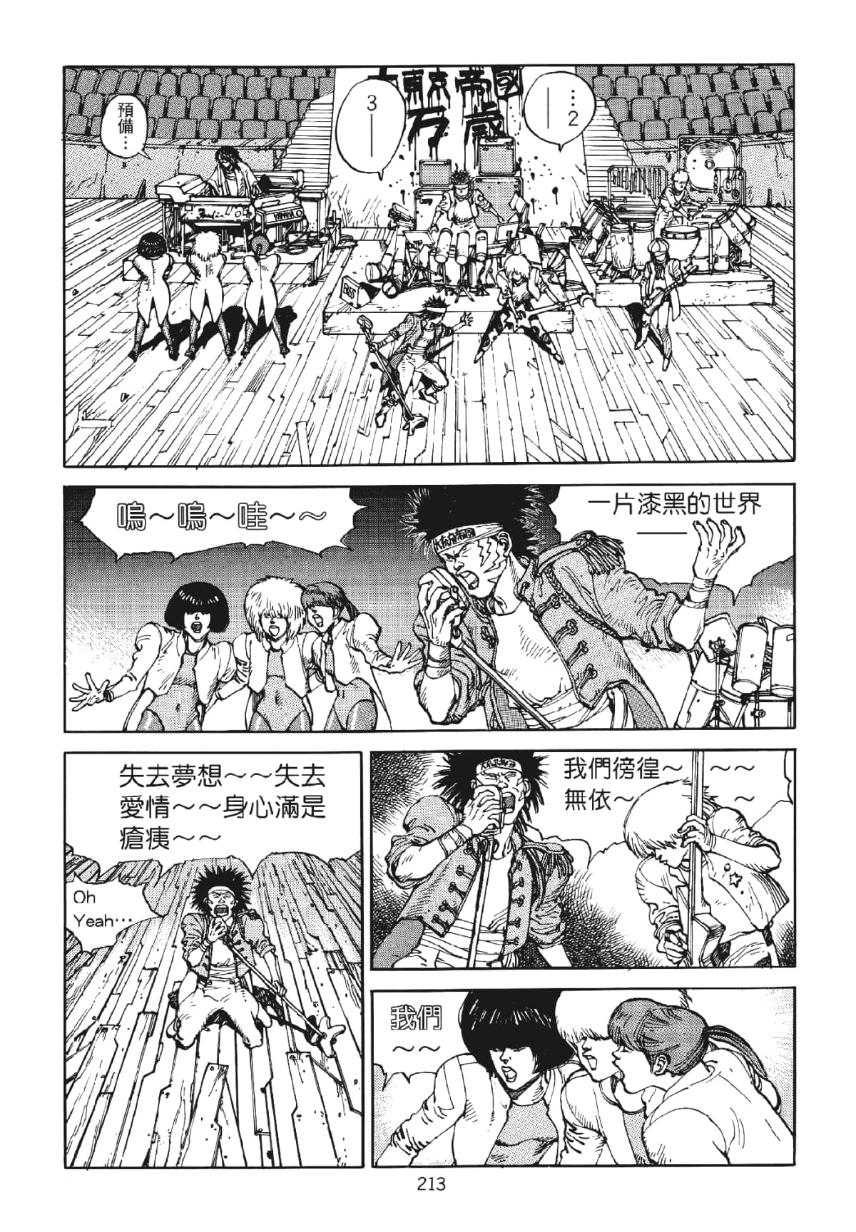 Page 213