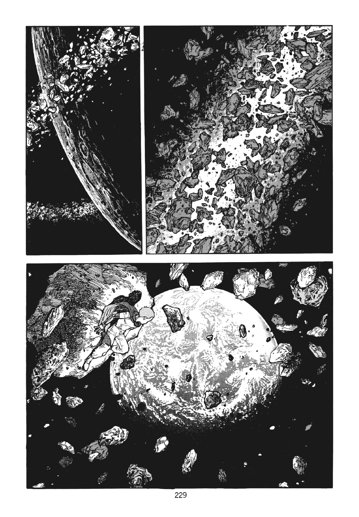 Page 229