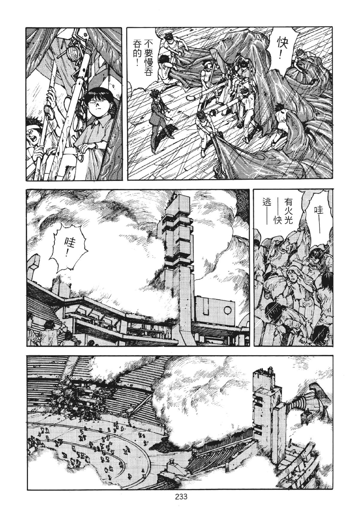 Page 233