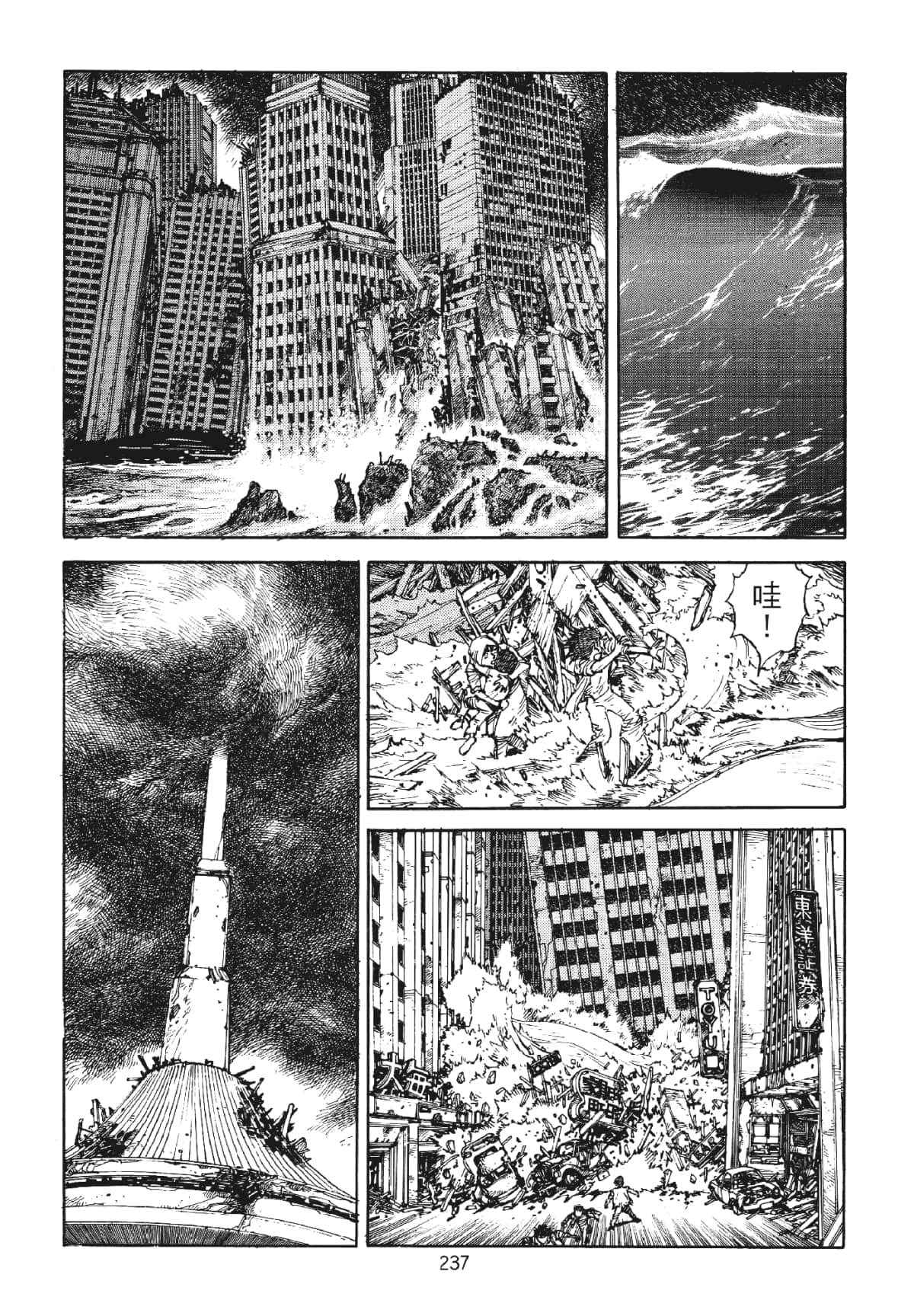 Page 237