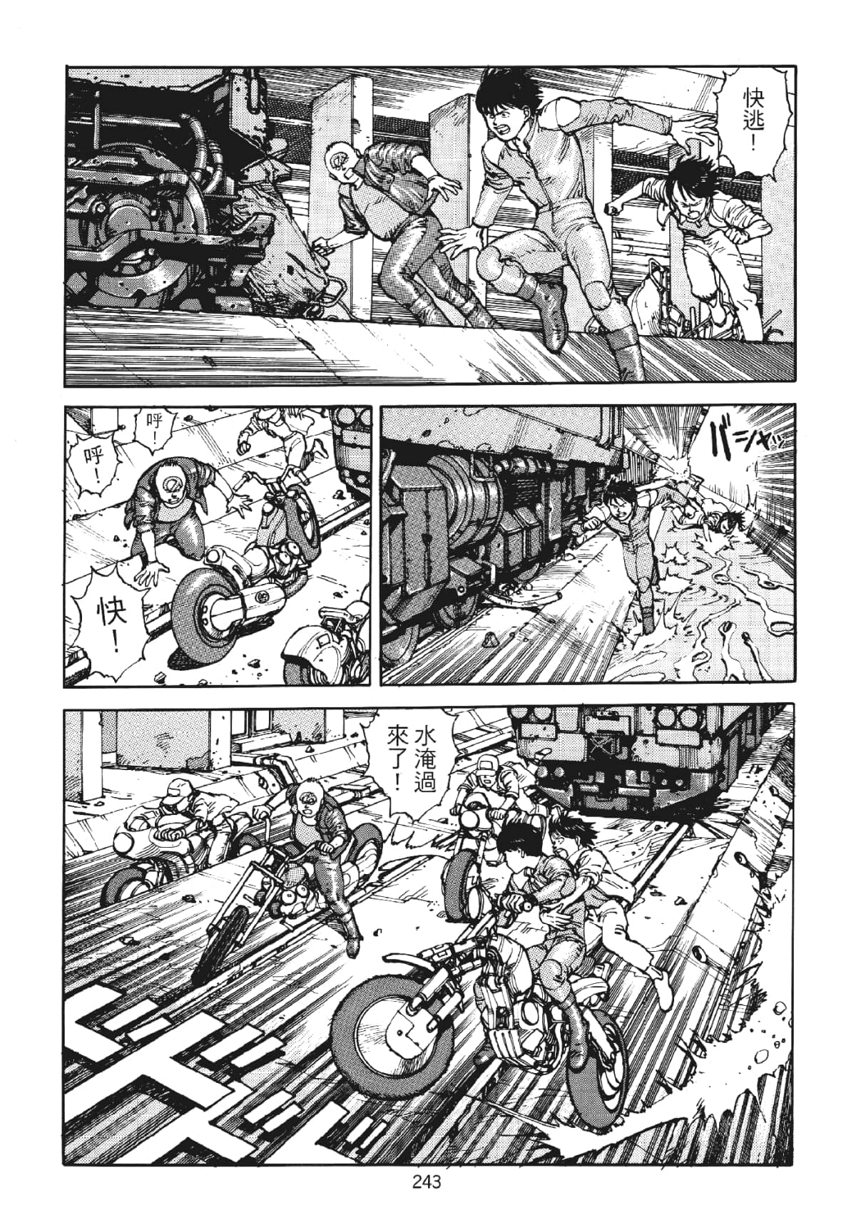 Page 243