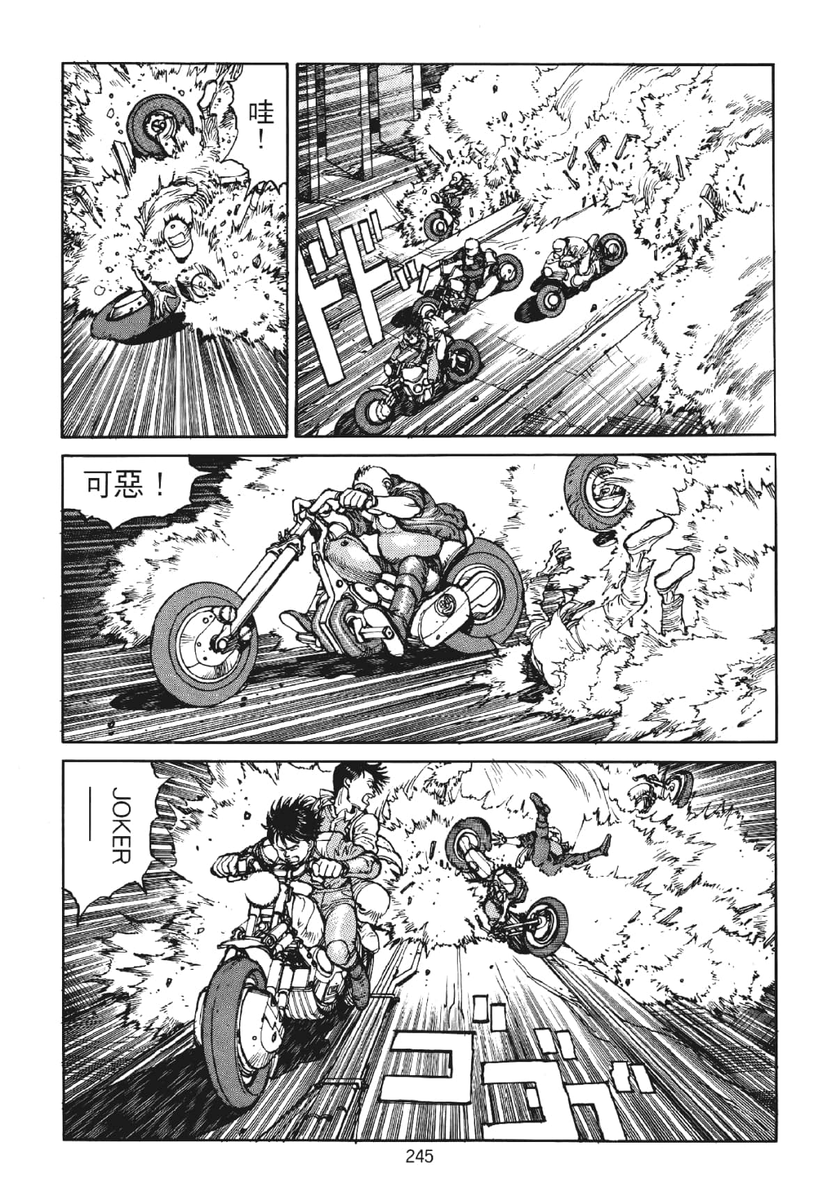 Page 245