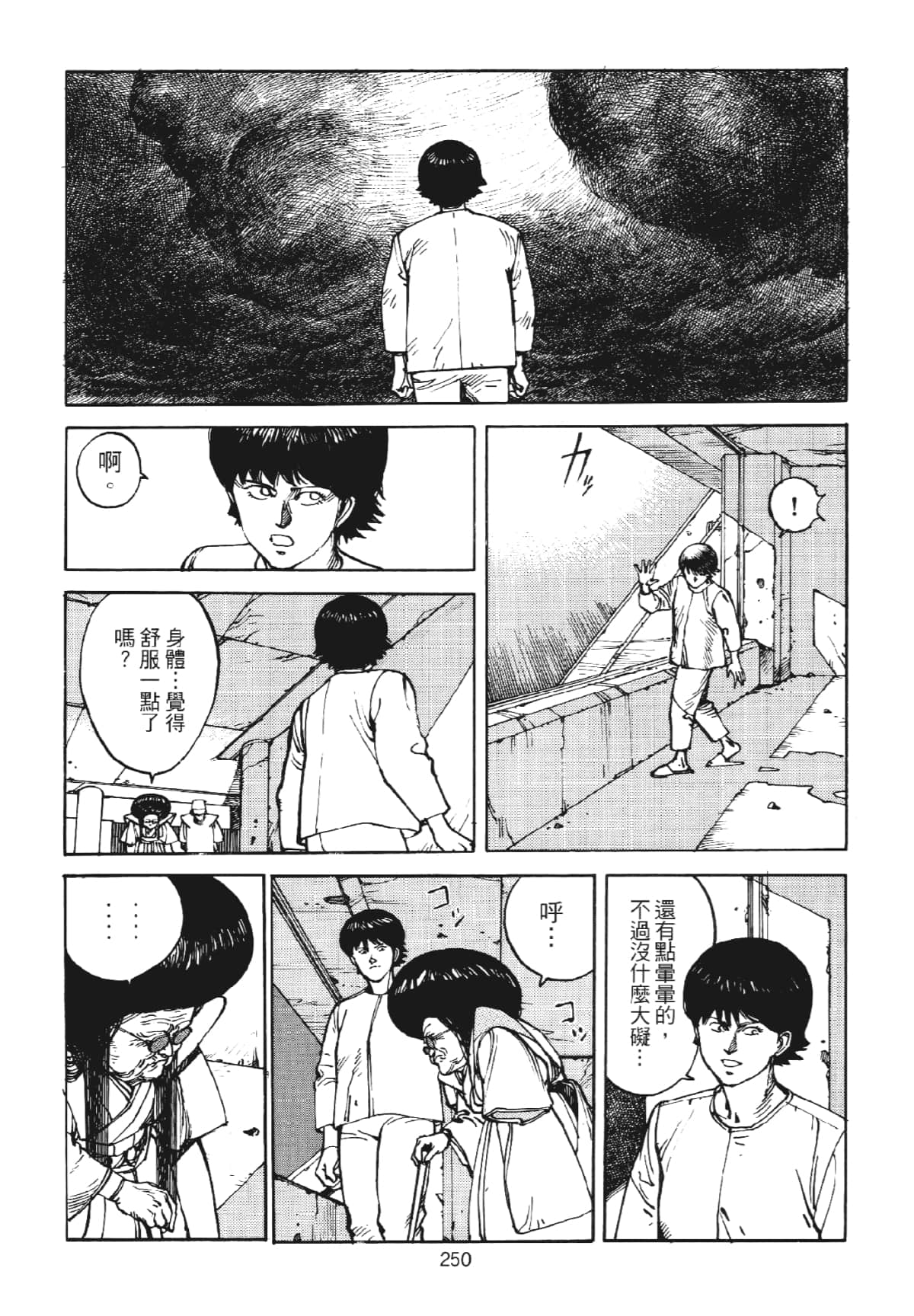 Page 250