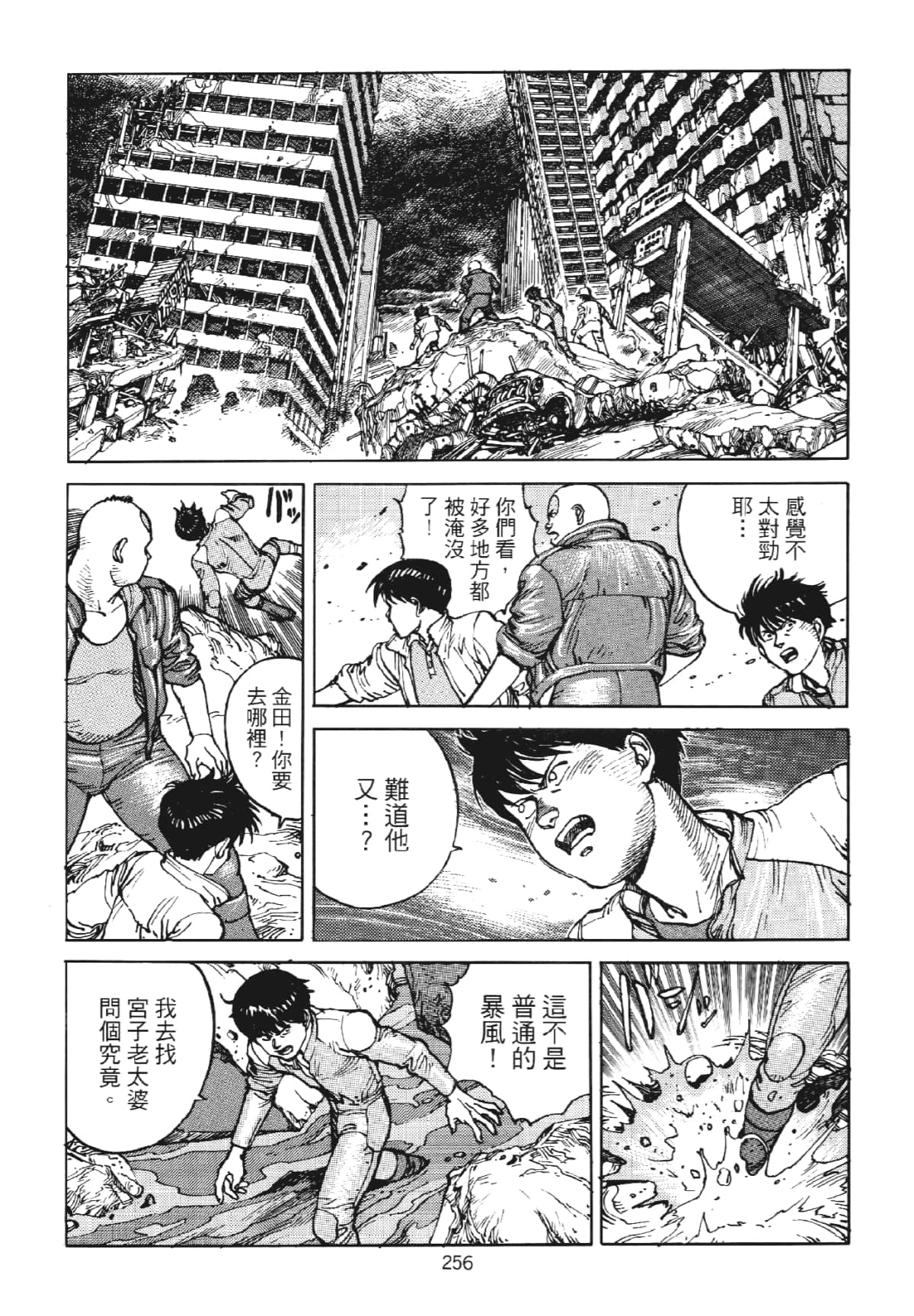 Page 256