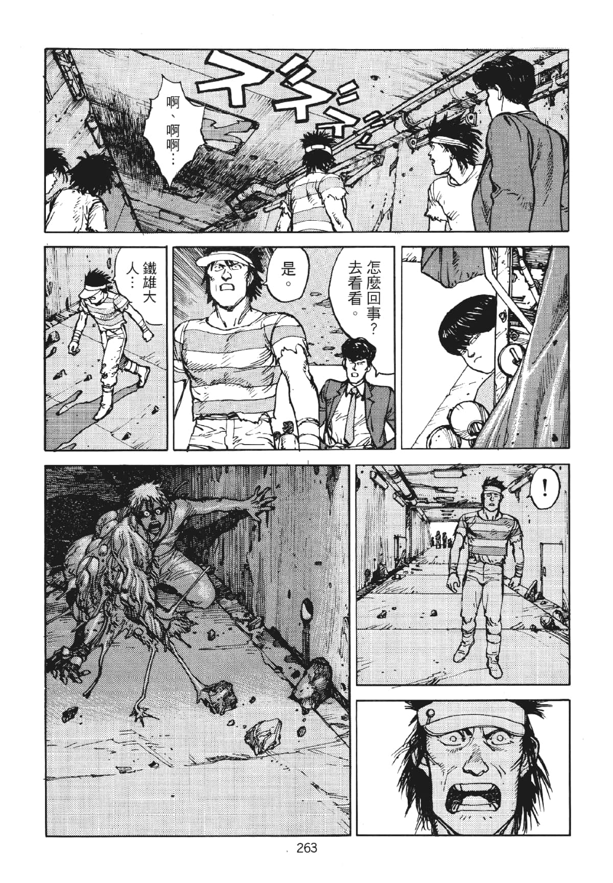 Page 263