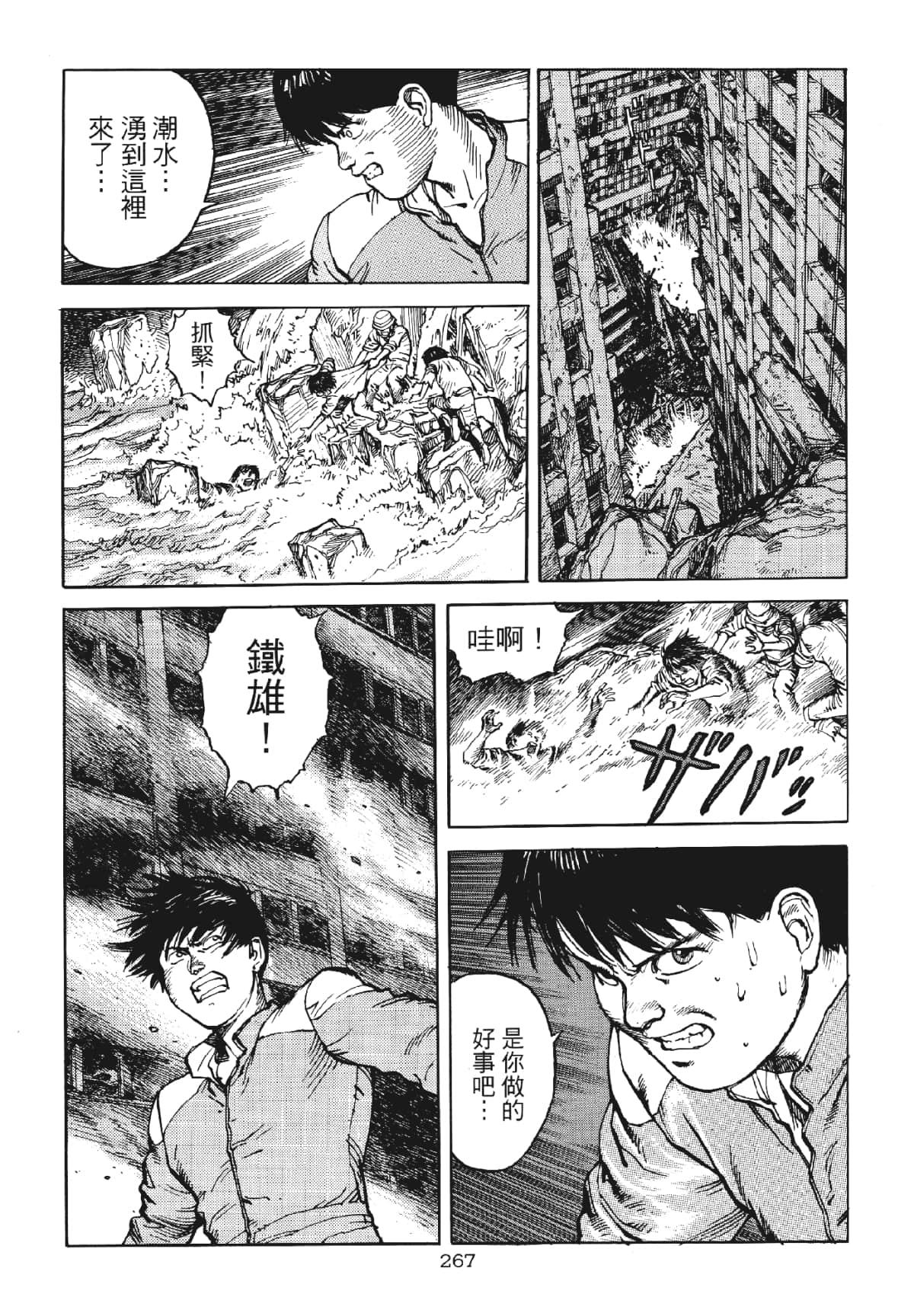 Page 267