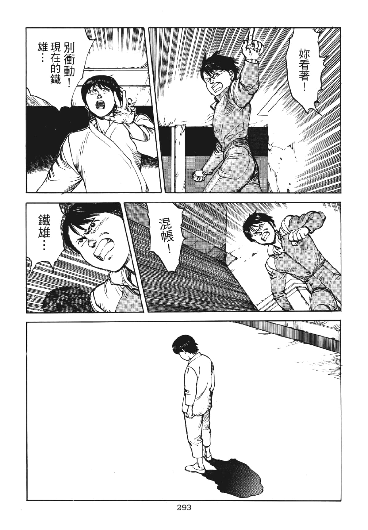 Page 293