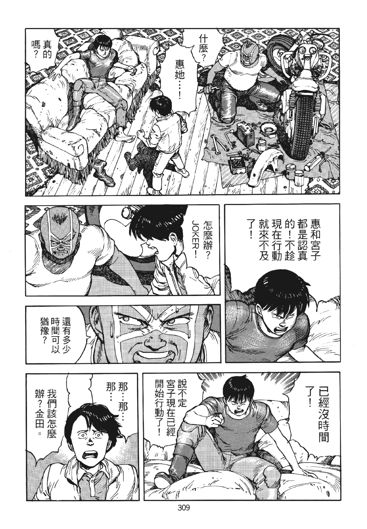 Page 309