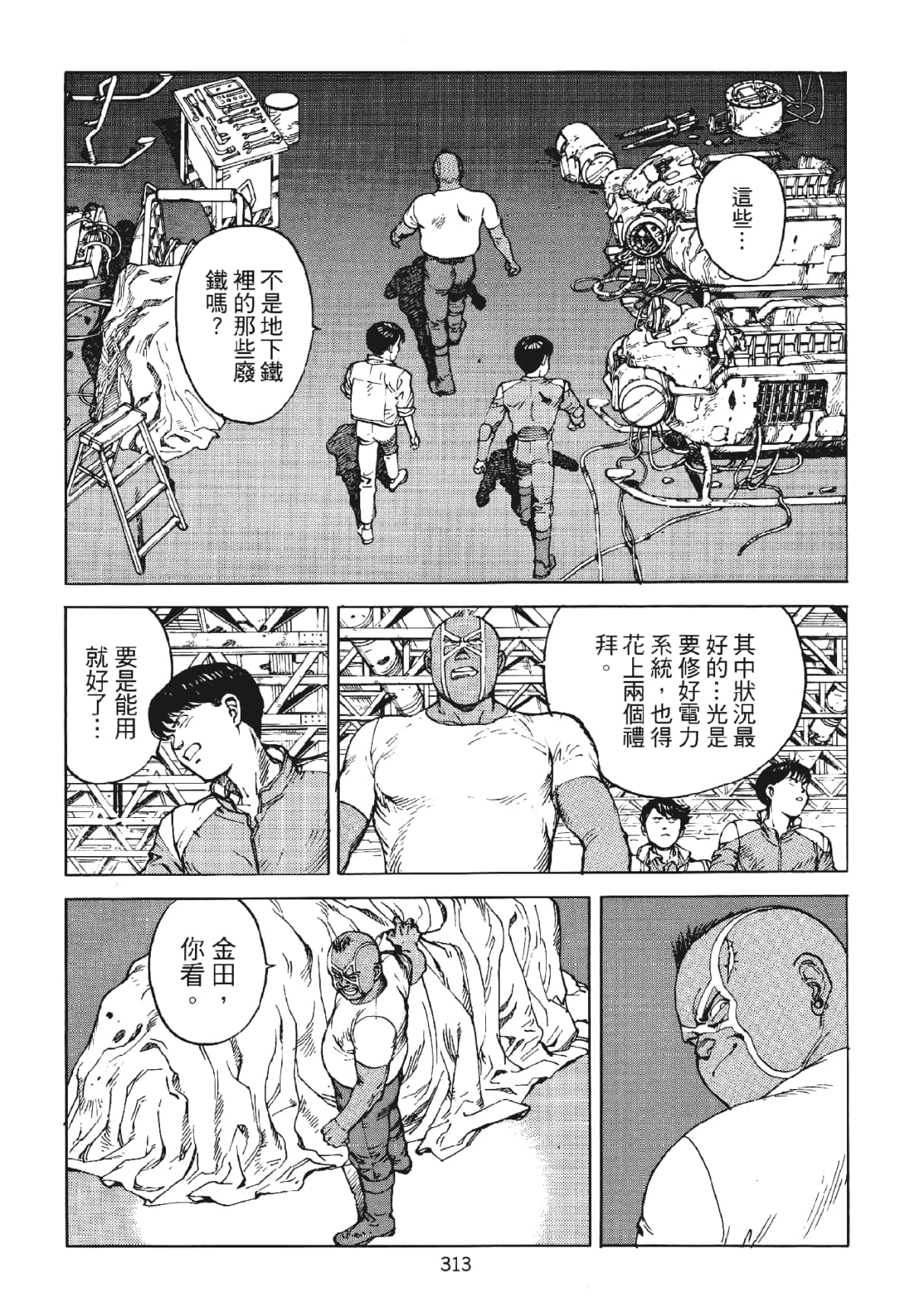 Page 313
