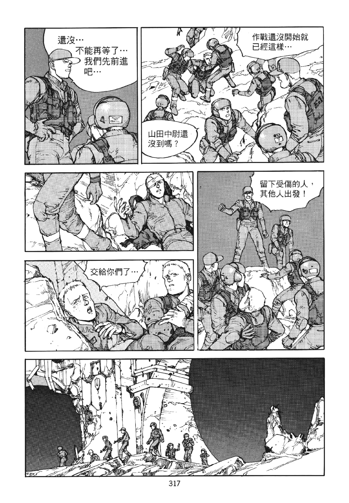 Page 317
