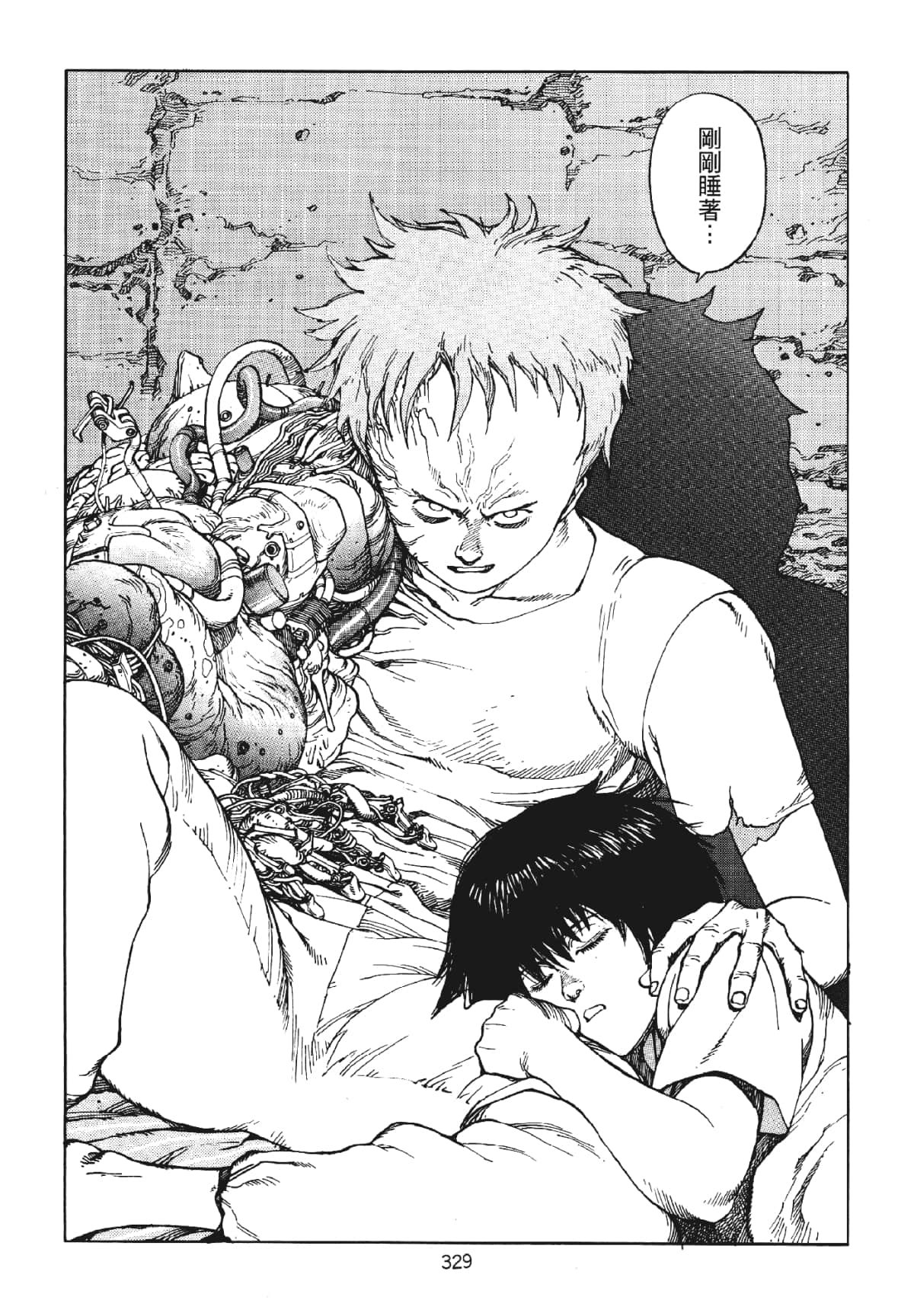 Page 329