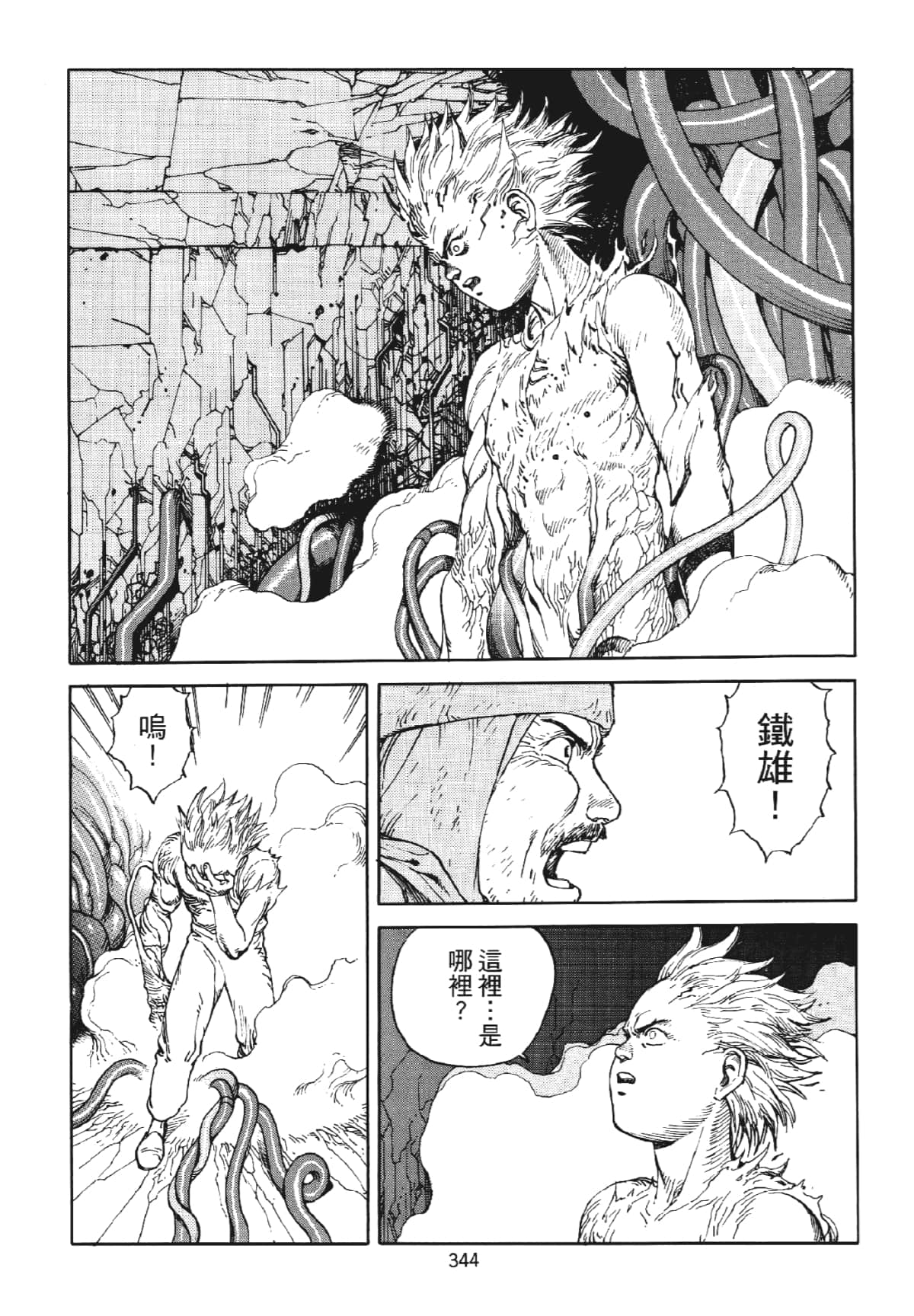 Page 344