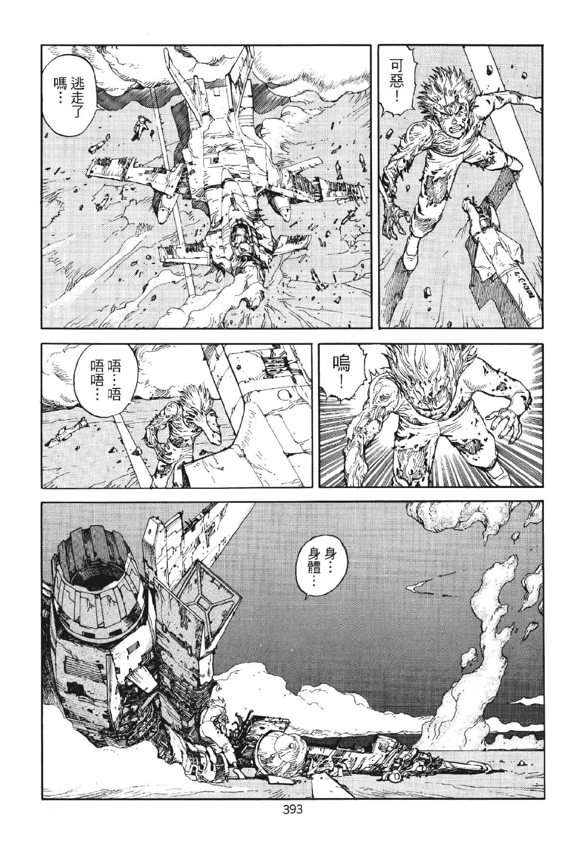 Page 393