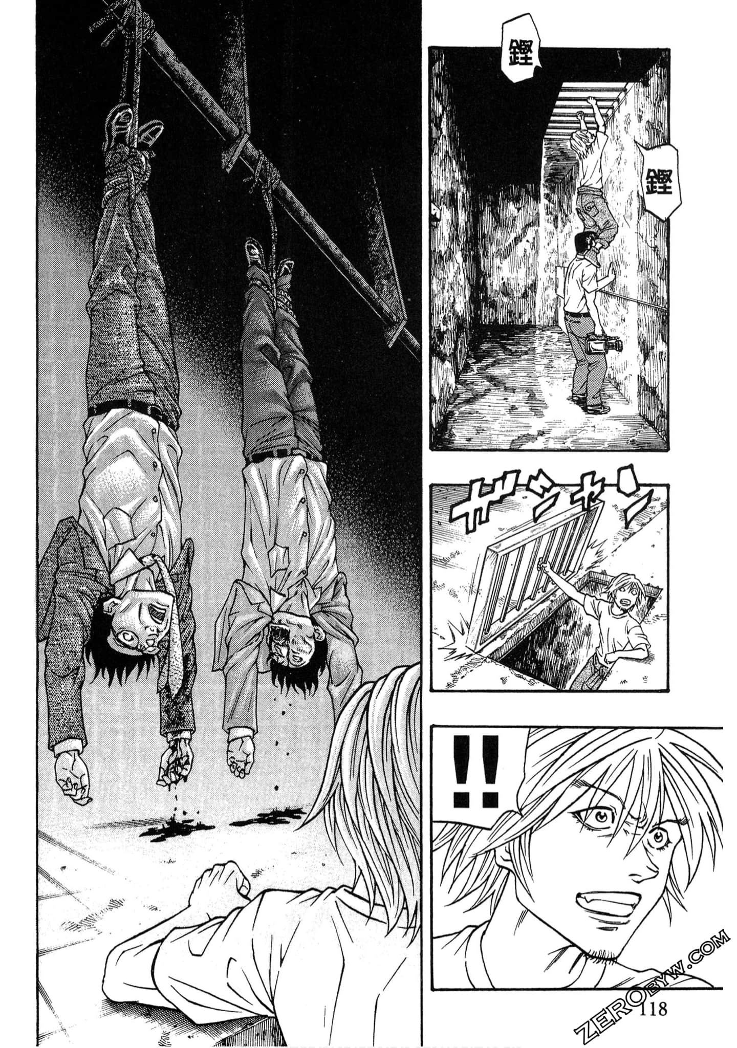 Page 117
